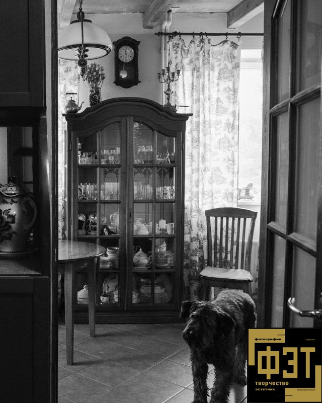 Выбор зрителей. Альбом 11.01.26