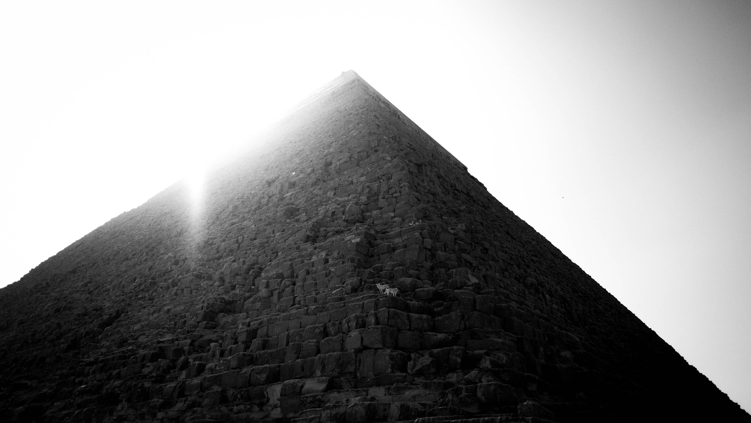 Cairo | Istanbul. AI — artist | Documentary Photographer St. Petersburg, Milan