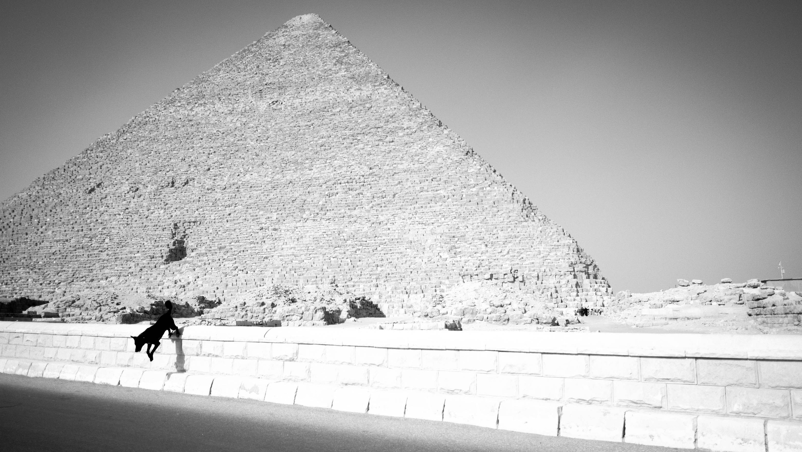 Cairo | Istanbul. AI — artist | Documentary Photographer St. Petersburg, Milan