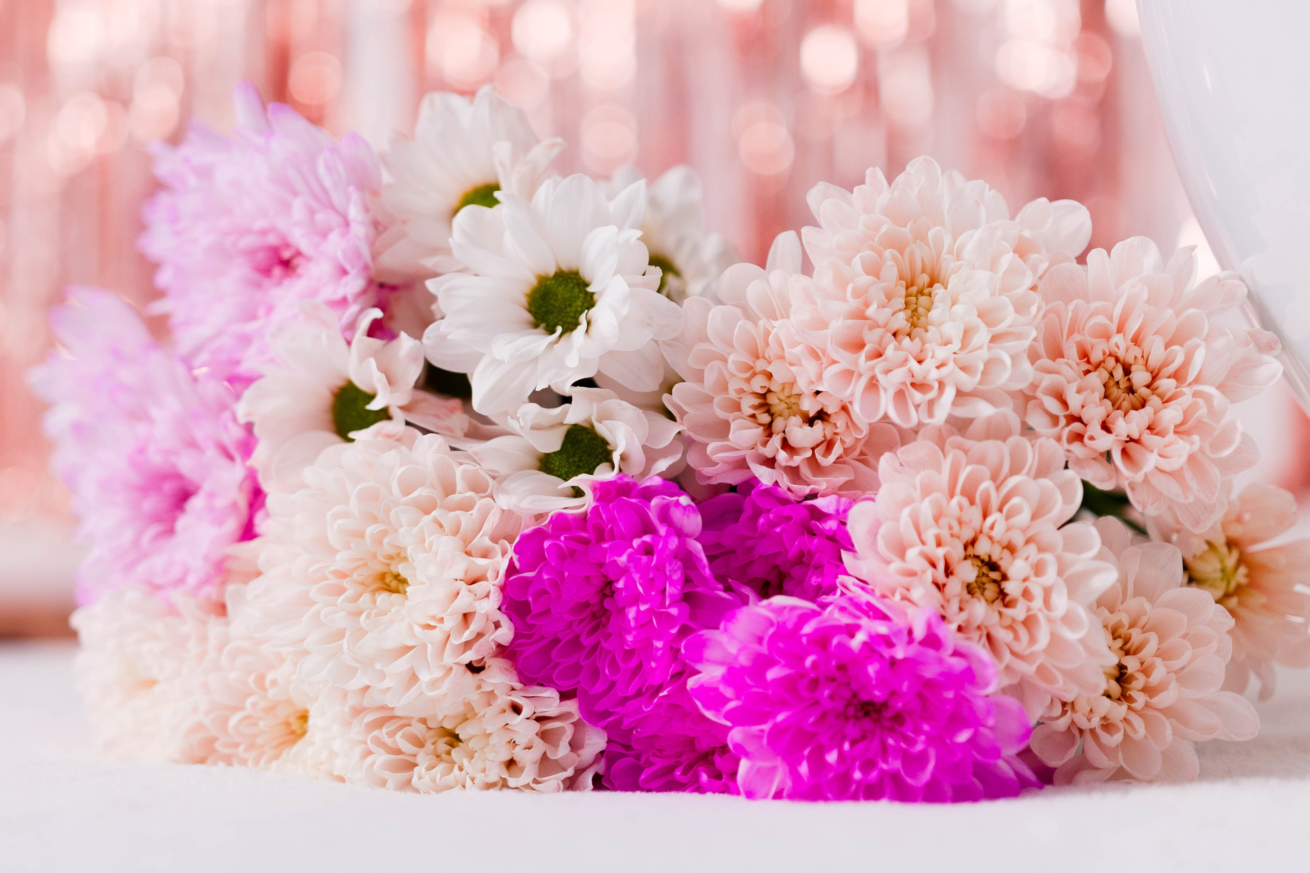 Фотограф Братск Юлий Дежин