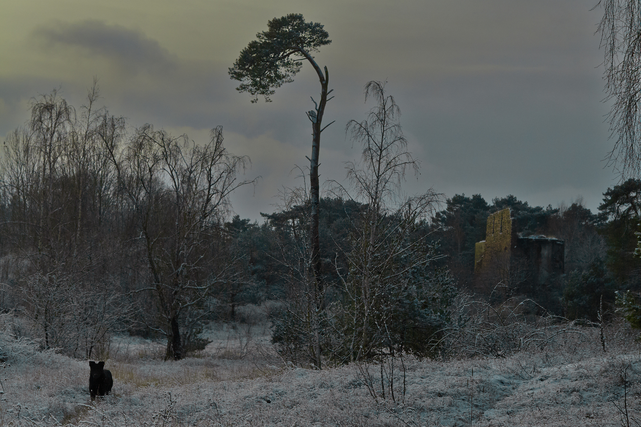 Кураторский проект «Инородное тело»