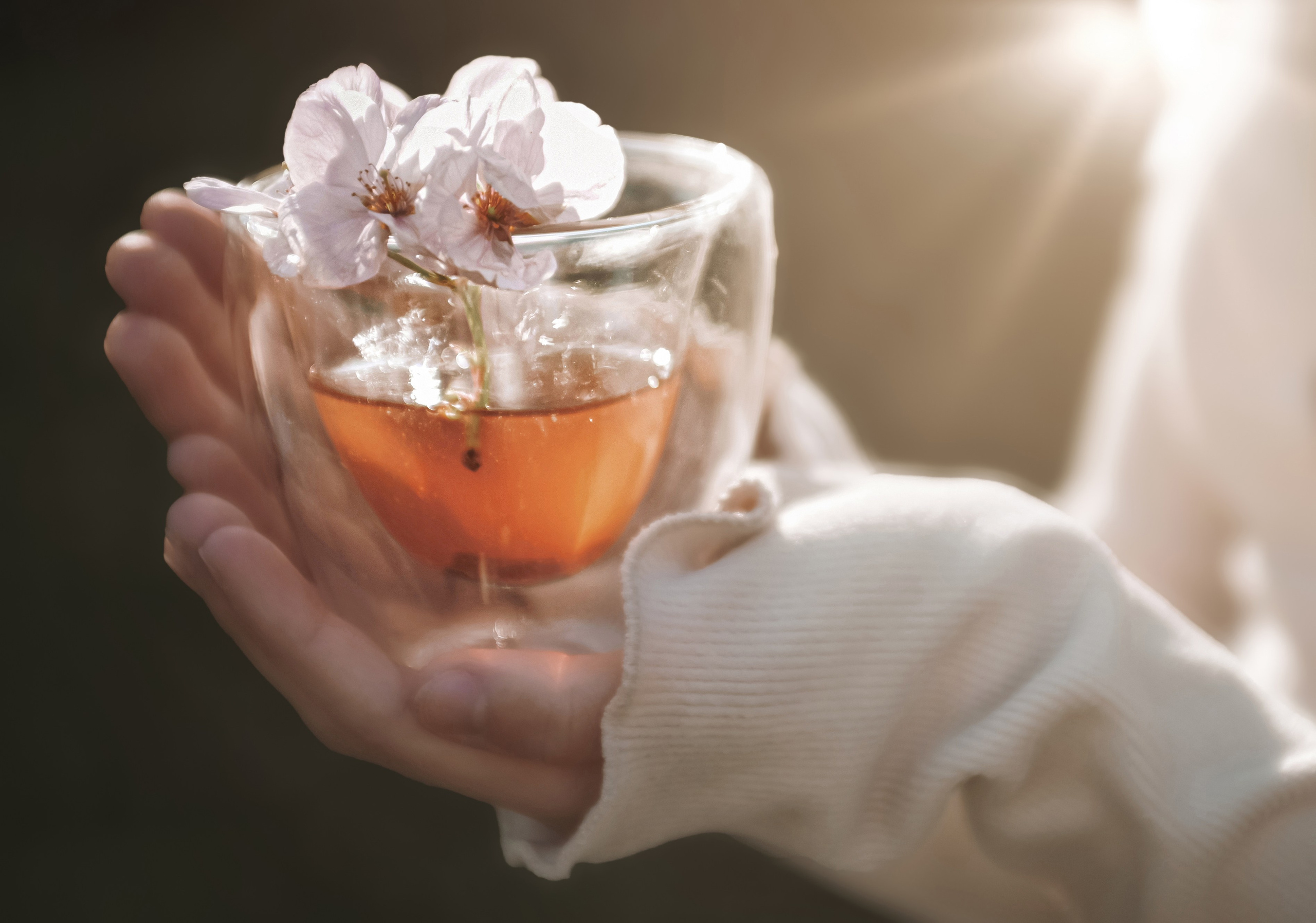 Услуги. Фотограф Наташа Белецкая