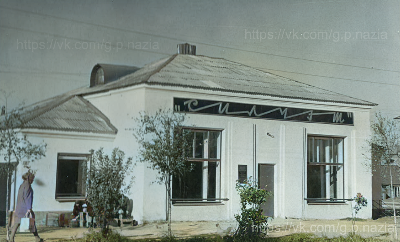 Магазины, киоски, кафе, дом быта, аптека и гостиница в Назии. История Назиевского городского поселения