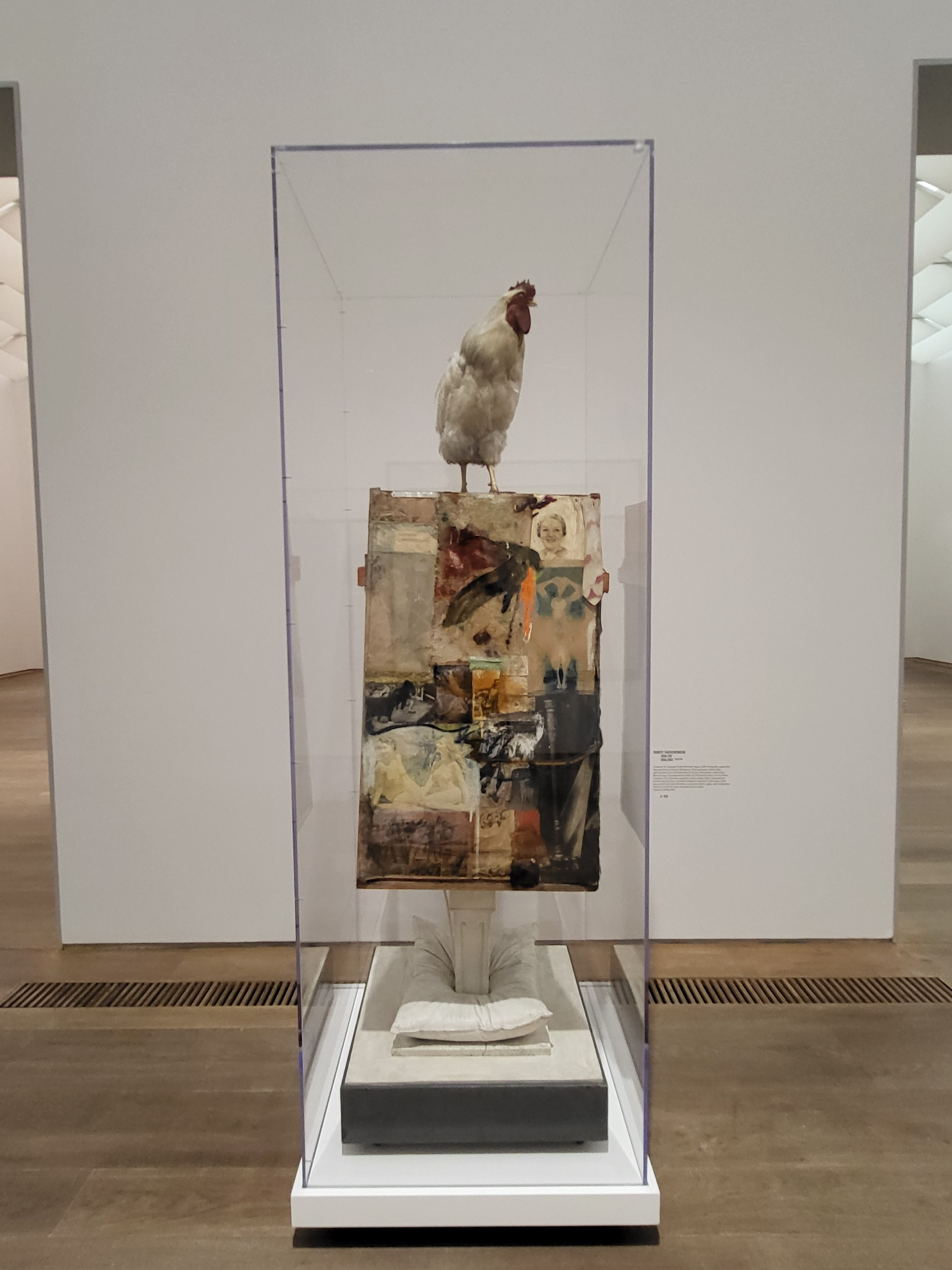 Хождение вдоль. Интервью с Екатериной Васильевой