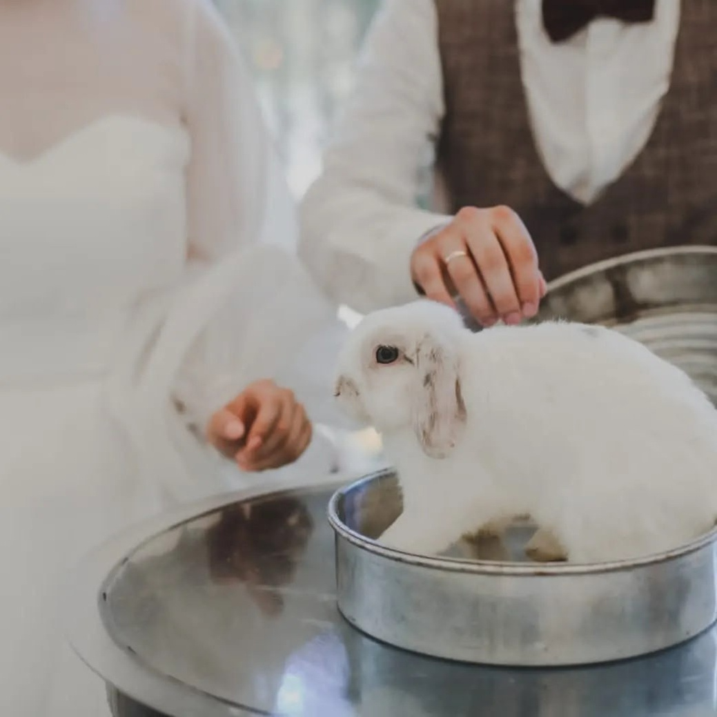 Шоу мыльных пузырей. Kozyreva-show