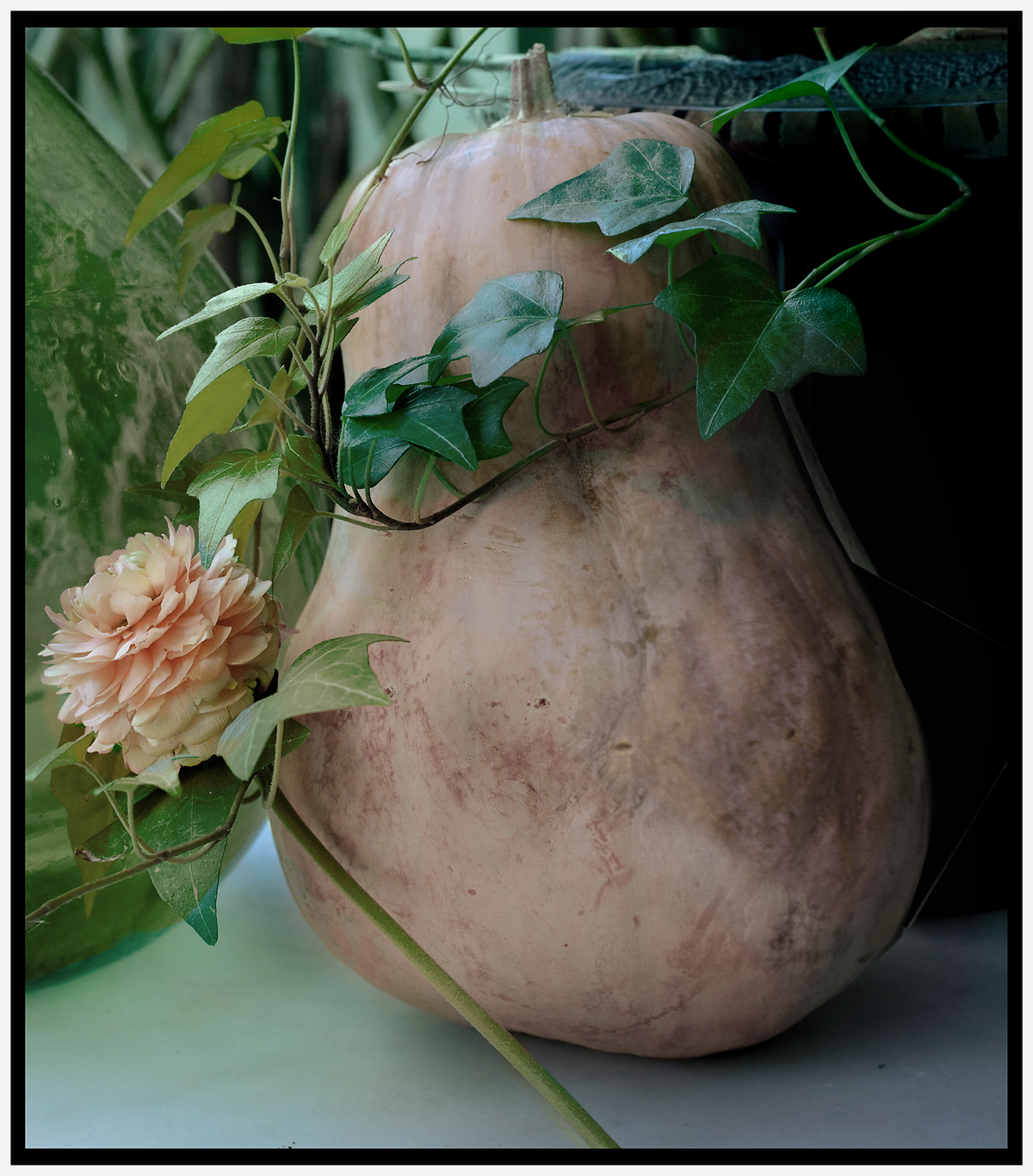 Фотограф Алина Малина