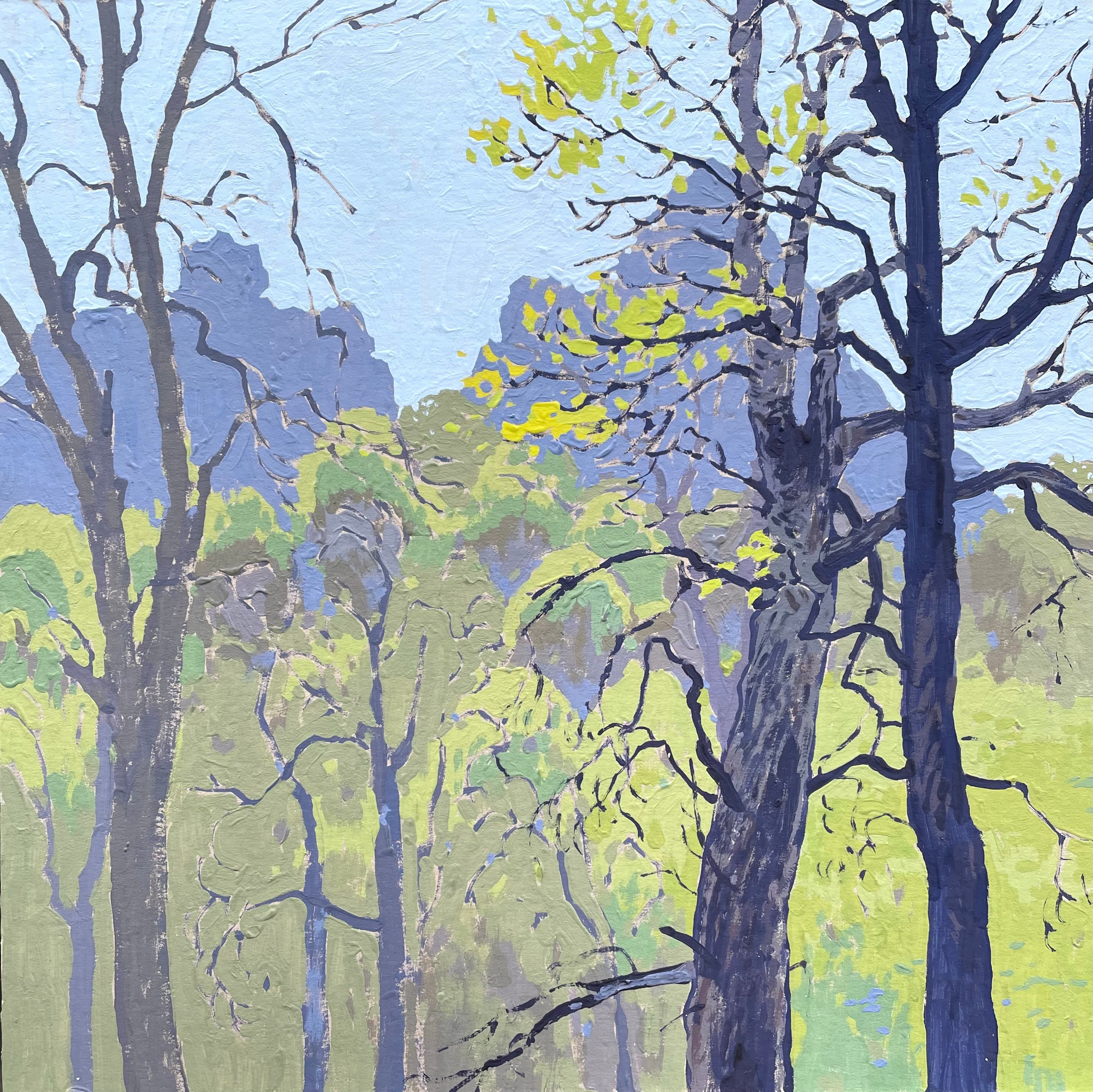 Пейзажи. Художница Лиза Владимирова