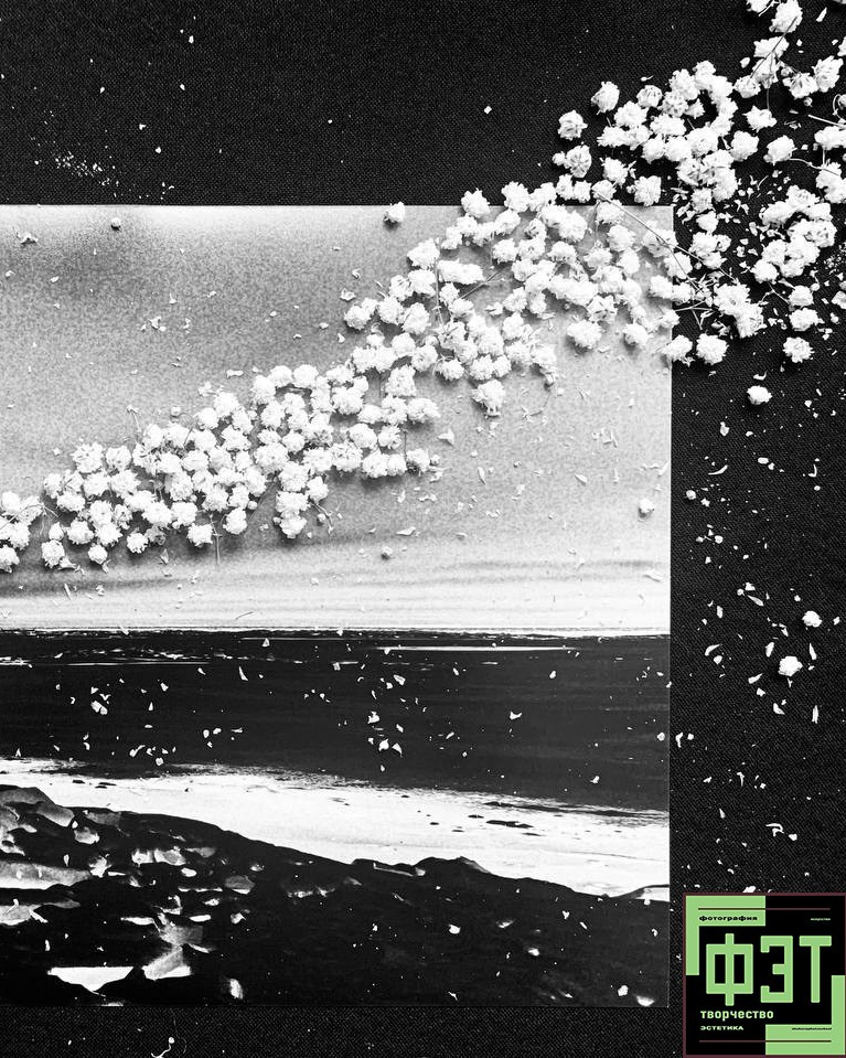 Альбом 08.03.26 в рамках ФЭТ