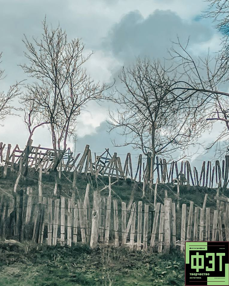 Наталья Переверзева