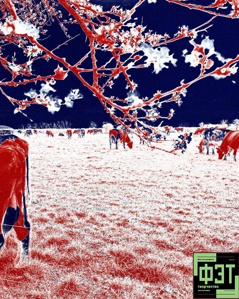 Альбом 19.04.26 в рамках проекта ФЭТ