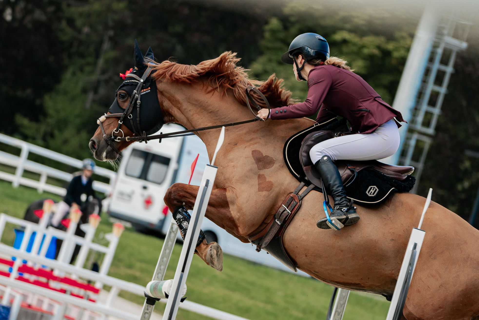 Спортивные мероприятия. Конный фотограф Куракина Дарья • Фотосессии с лошадьми