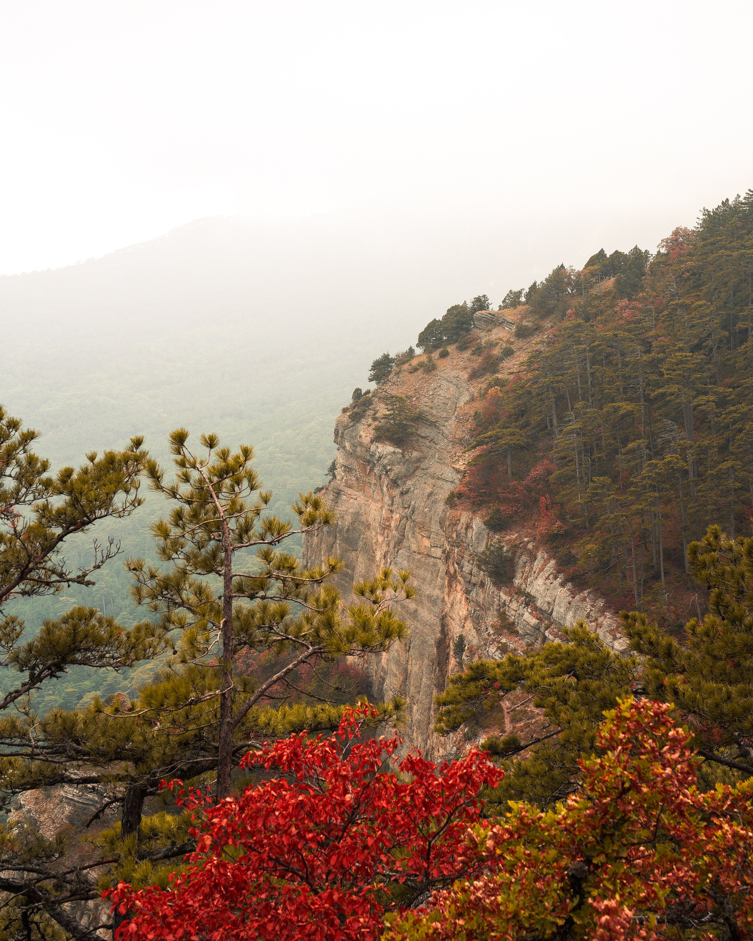 Боткинская тропа. Фотограф из Москвы — DASHA NOVA | Авторская фотография в разных жанрах
