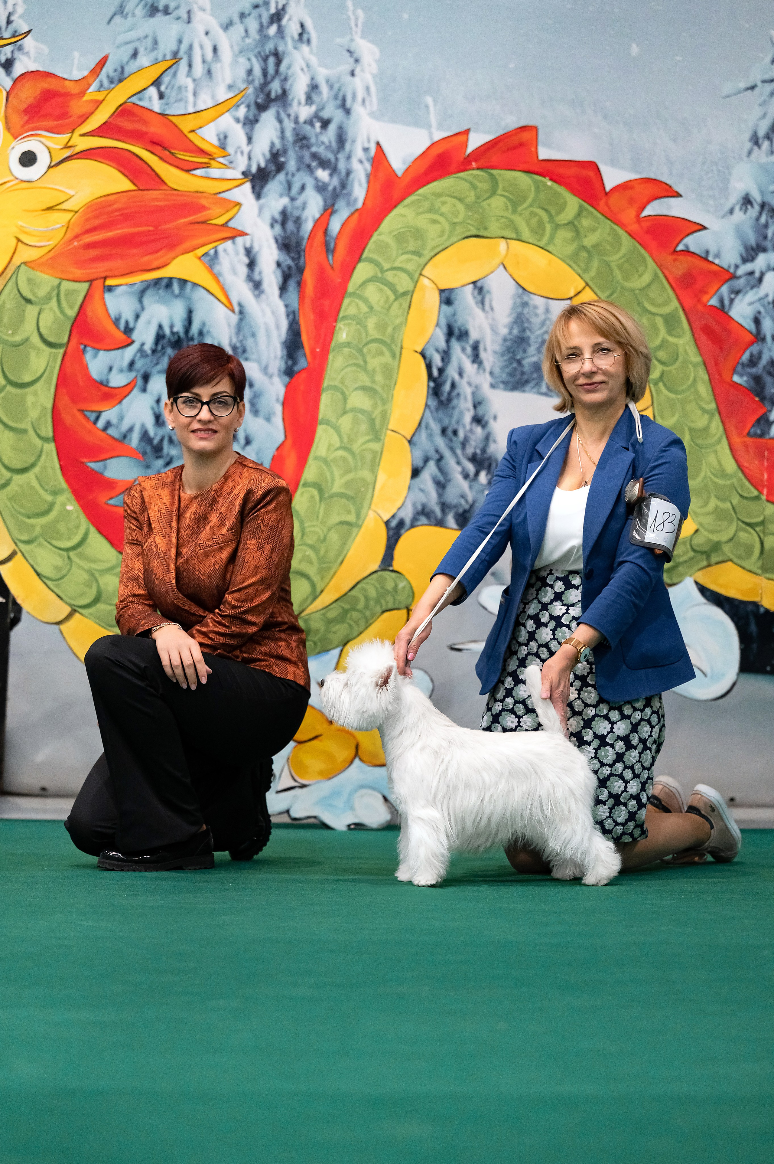 Национальная выставка собак «Зимний кубок Москвы — 1». Питомник собак породы вест хайленд вайт терьер в Москве