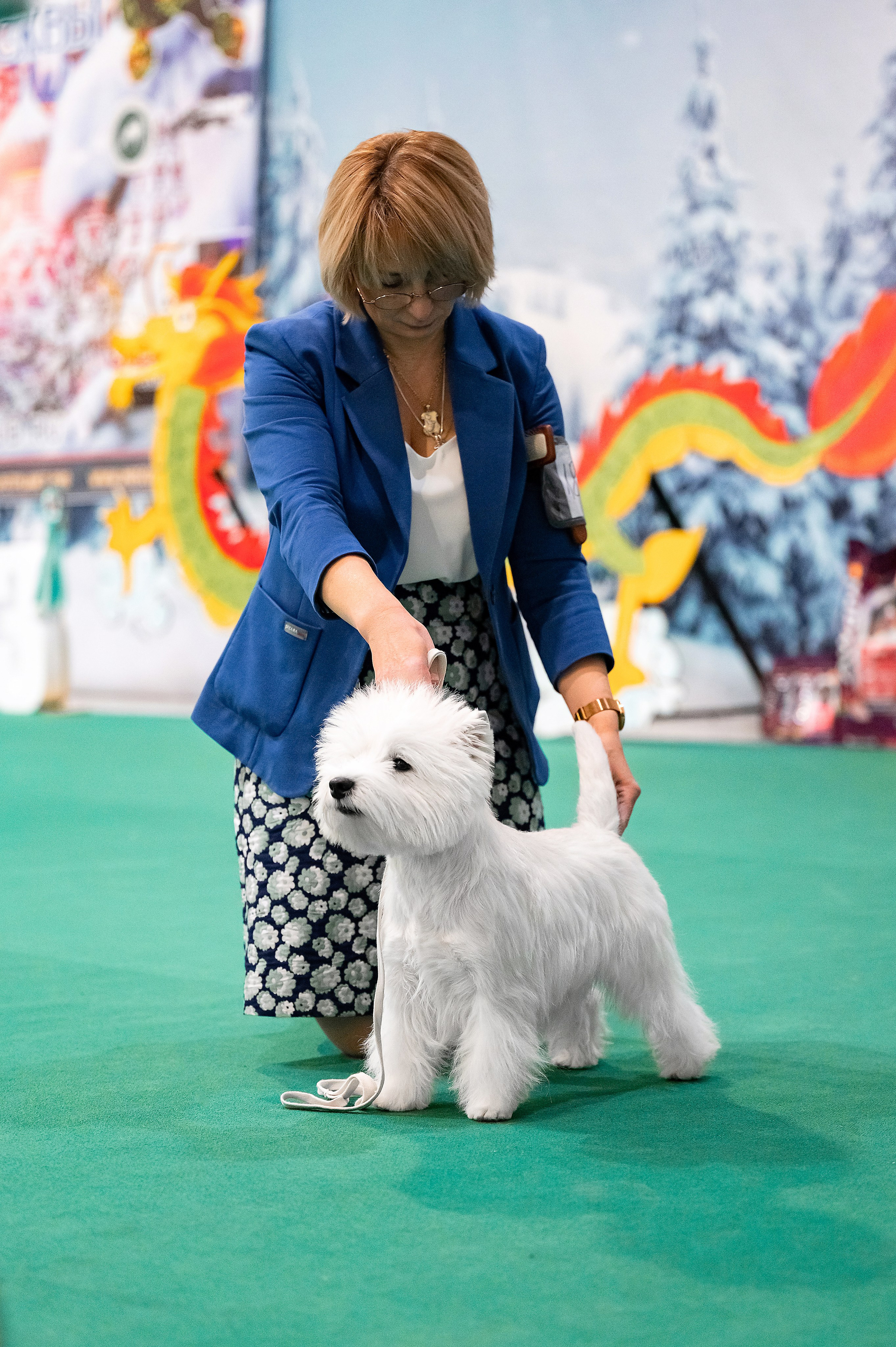 Национальная выставка собак «Зимний кубок Москвы — 1». Питомник собак породы вест хайленд вайт терьер в Москве