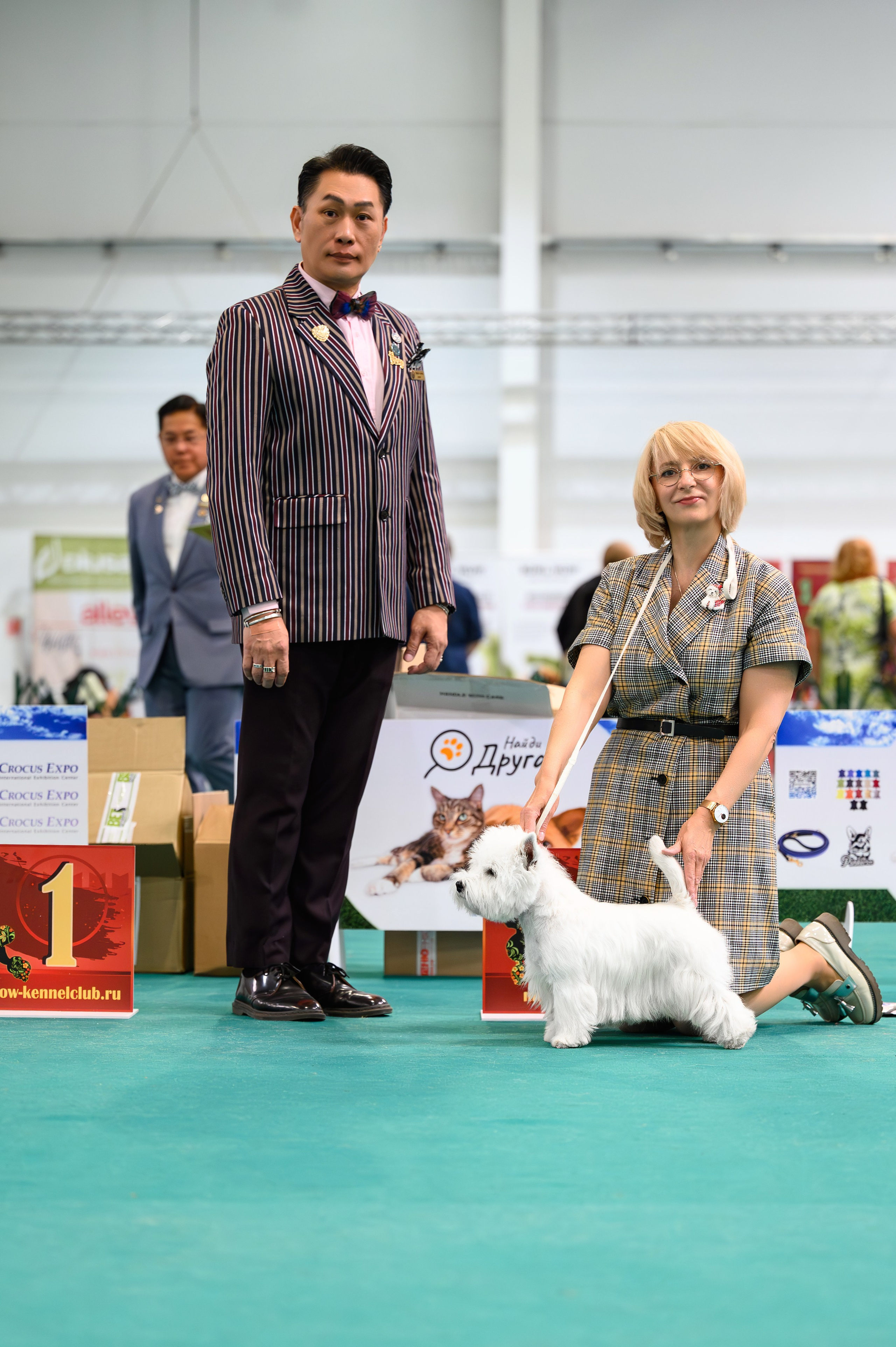 Выставка с международной экспертизой «Летний Кубок Москвы». Питомник собак породы вест хайленд вайт терьер в Москве