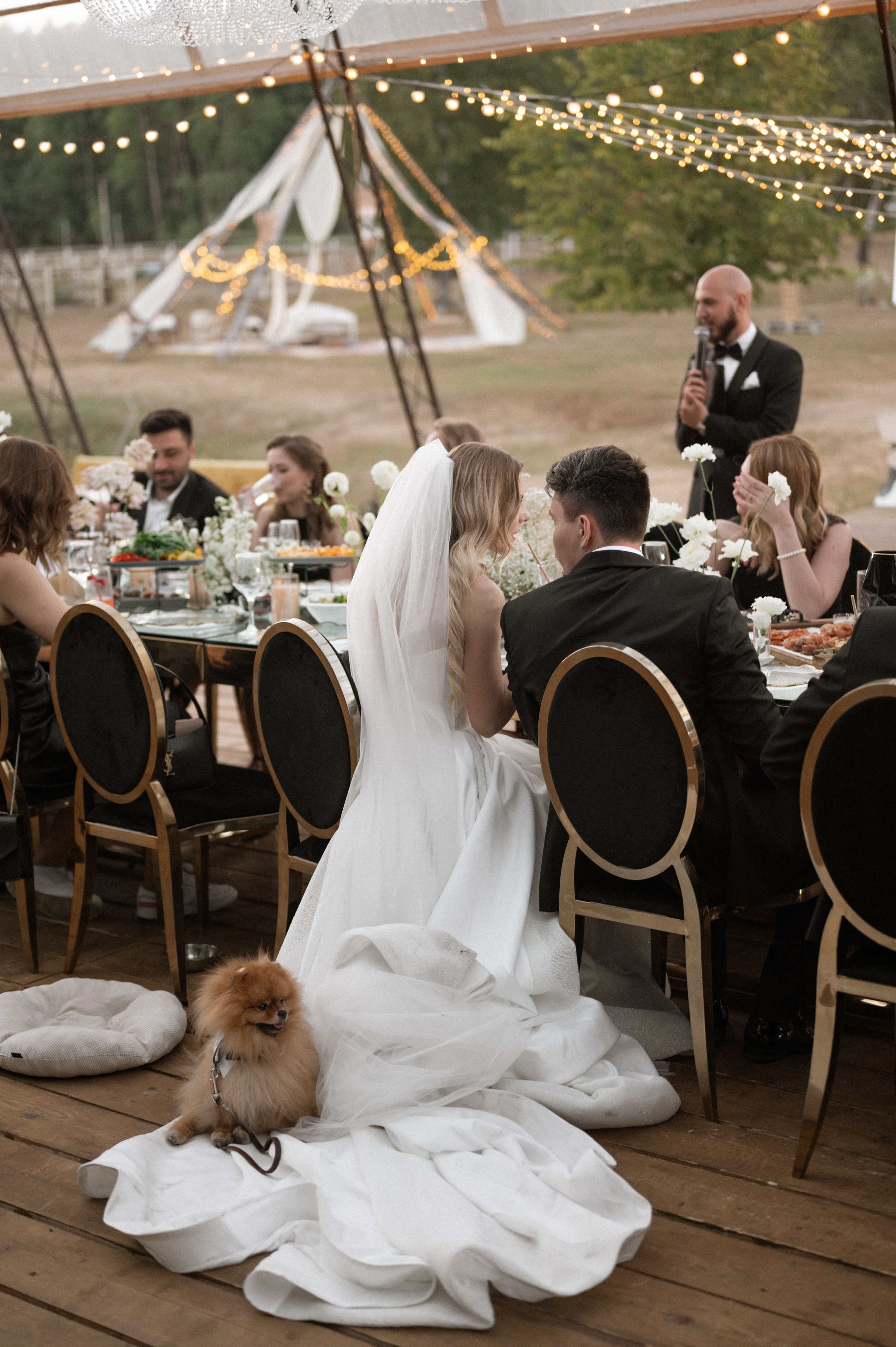 Друзья лишними не бывают - Бублик в деле. Свадебный фотограф Сергей Скрипник