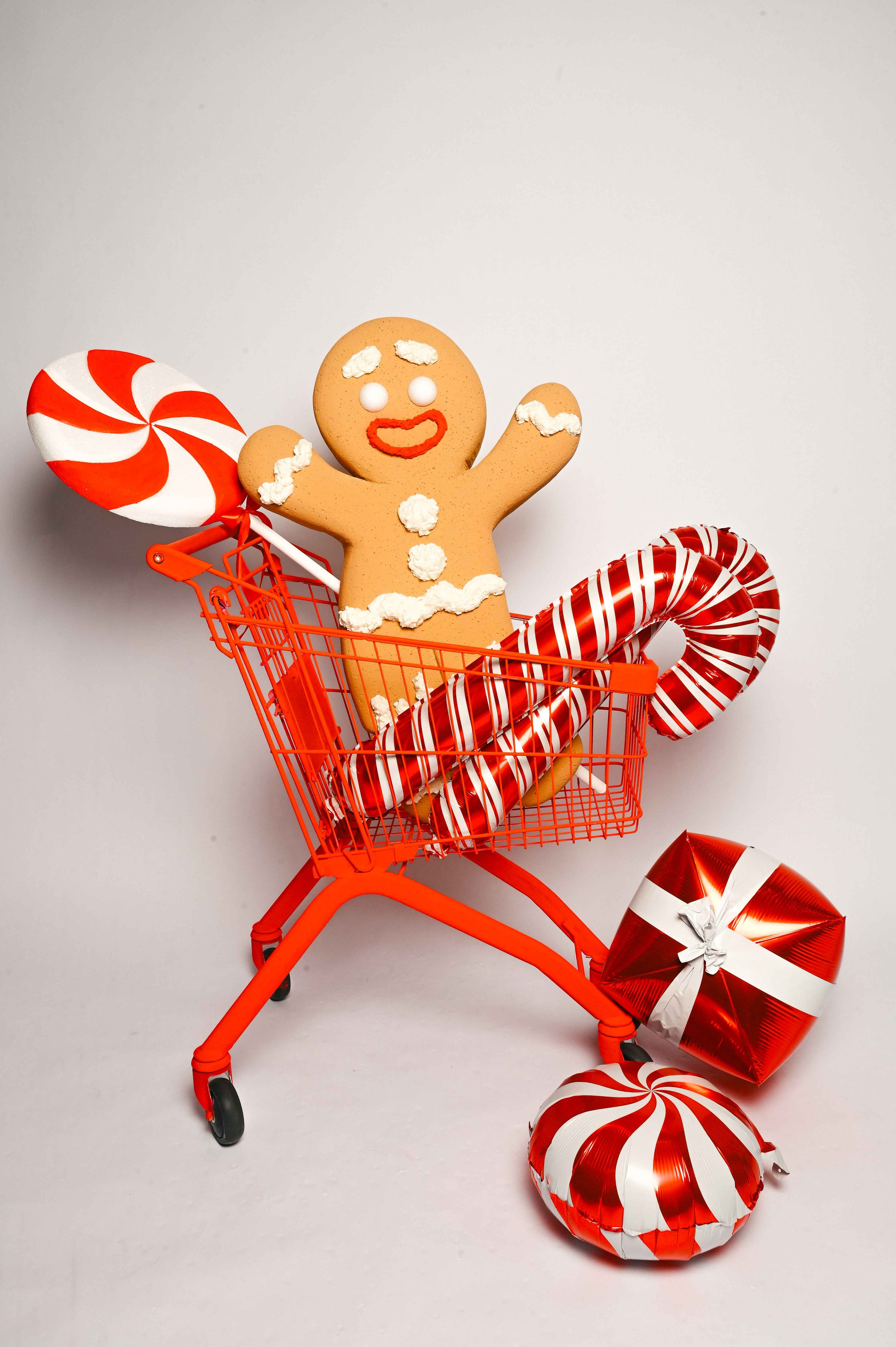 Семейный и детский фотограф во Фрязино, Ивантеевке и Щелково Матвеева