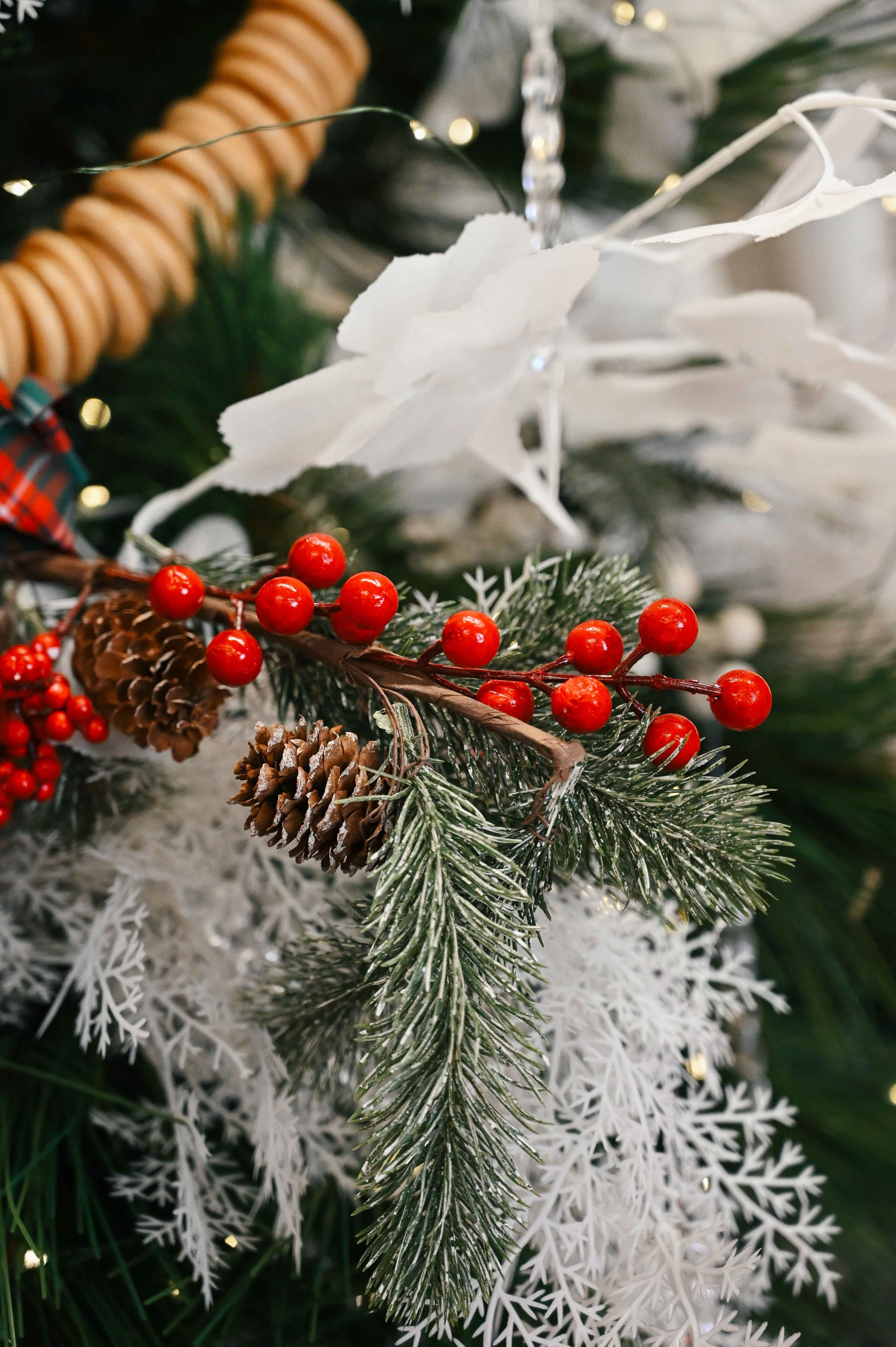Семейный и детский фотограф во Фрязино, Ивантеевке и Щелково Матвеева