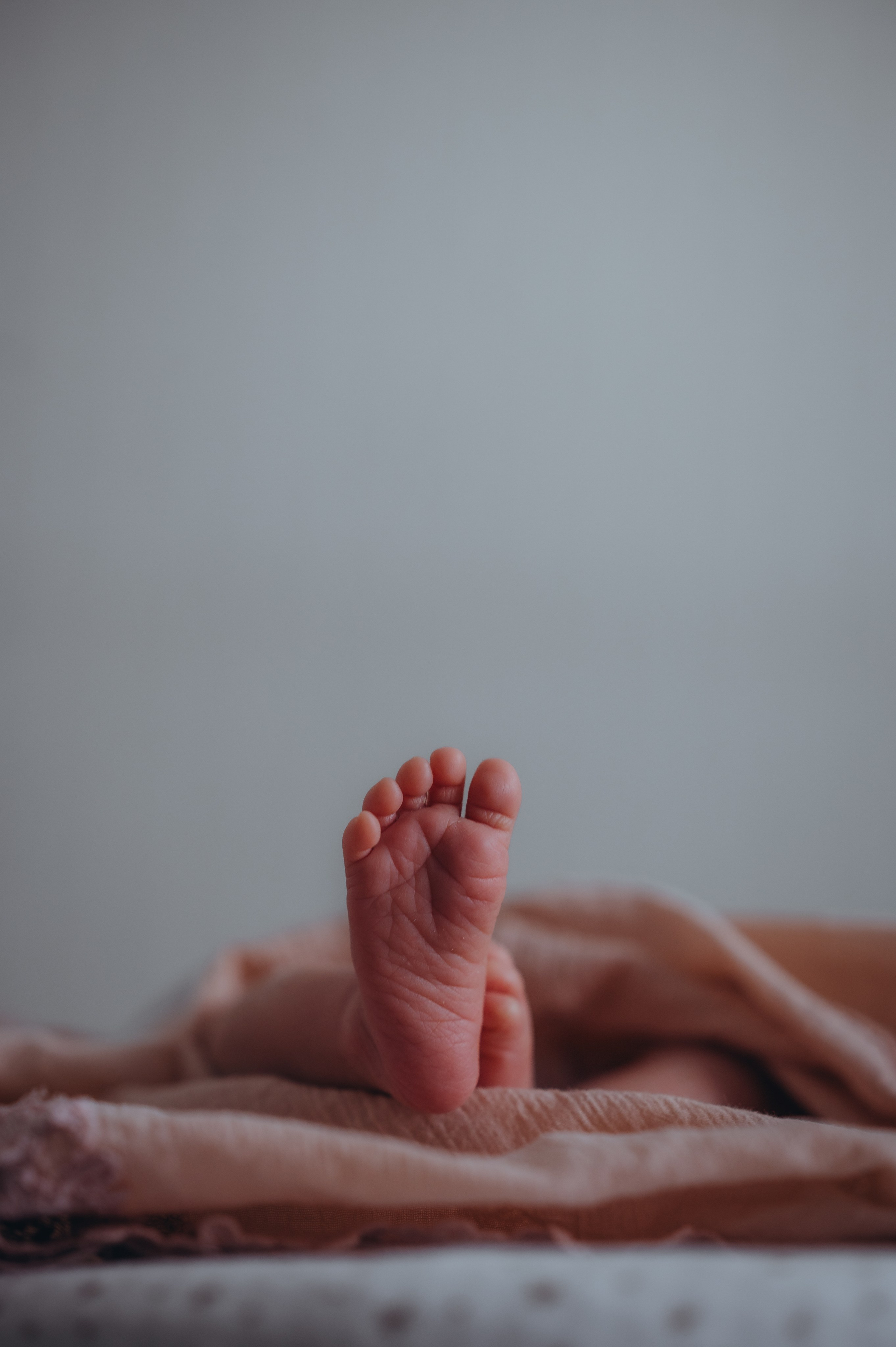 Услуги. Семейный lifestyle фотограф Саша Надеева