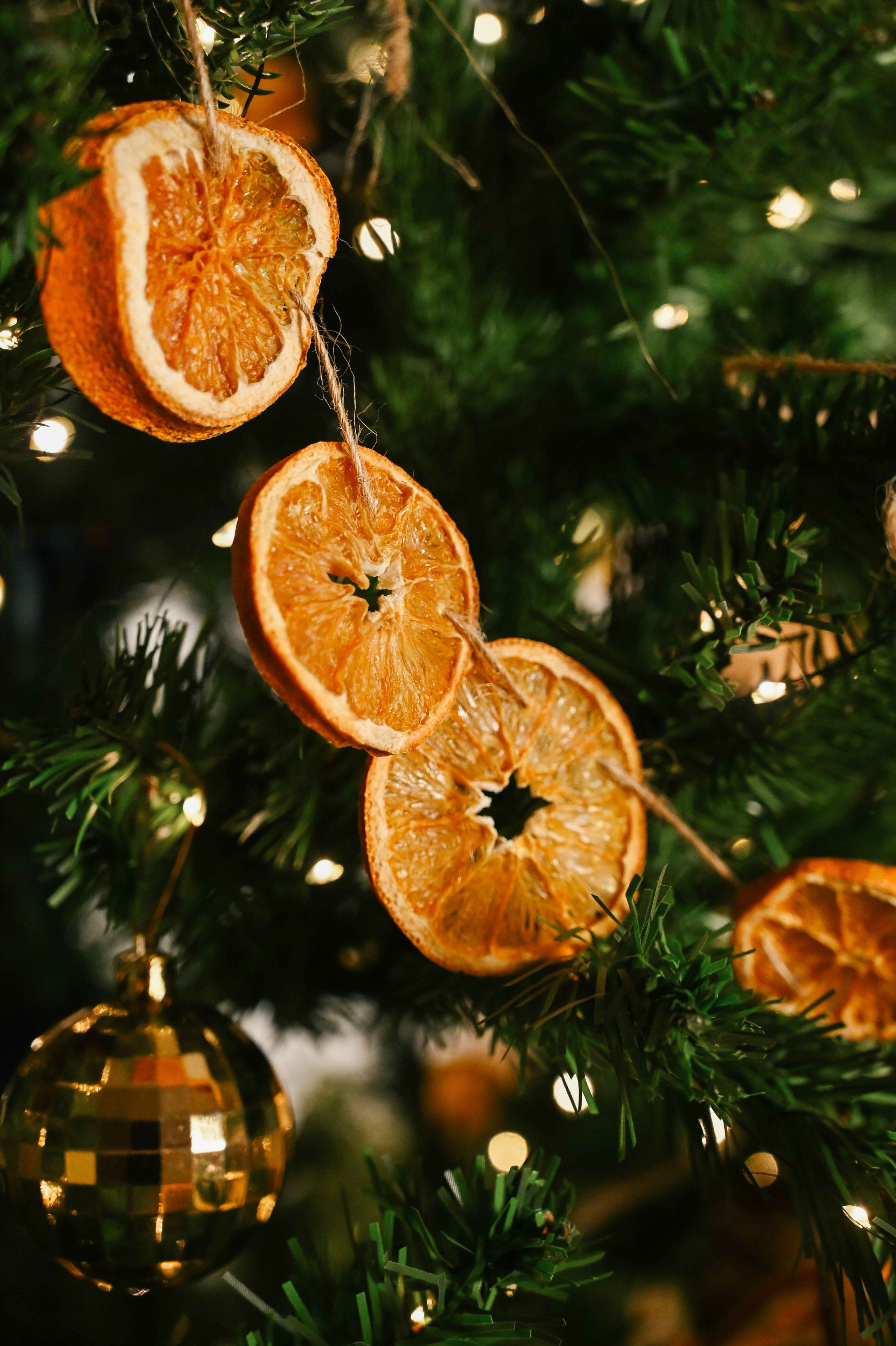 Семейный и детский фотограф во Фрязино, Ивантеевке и Щелково Матвеева