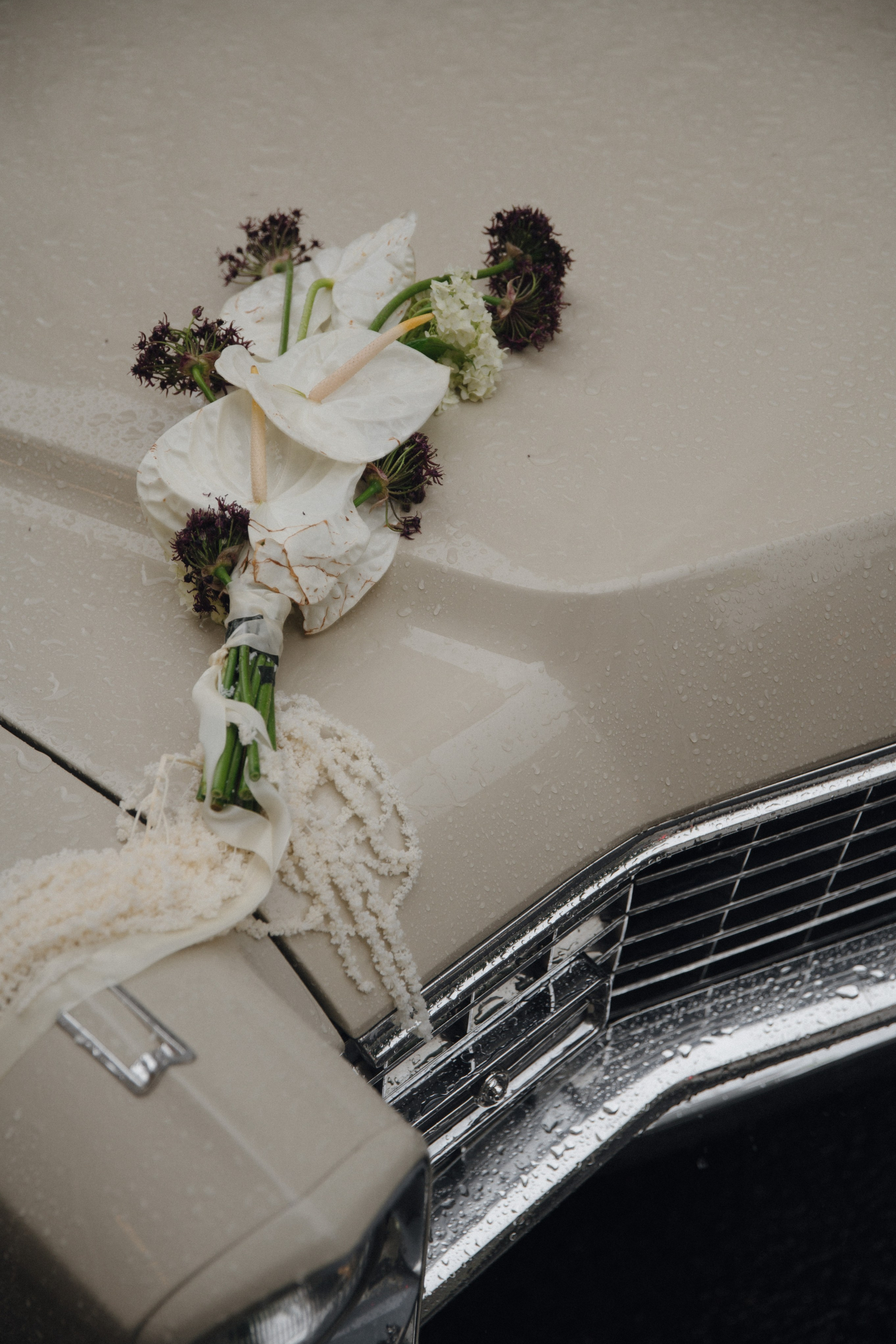 Стоимость свадебной фотосъемки. Свадебный фотограф в Москве и Ярославле Павел Кандауров