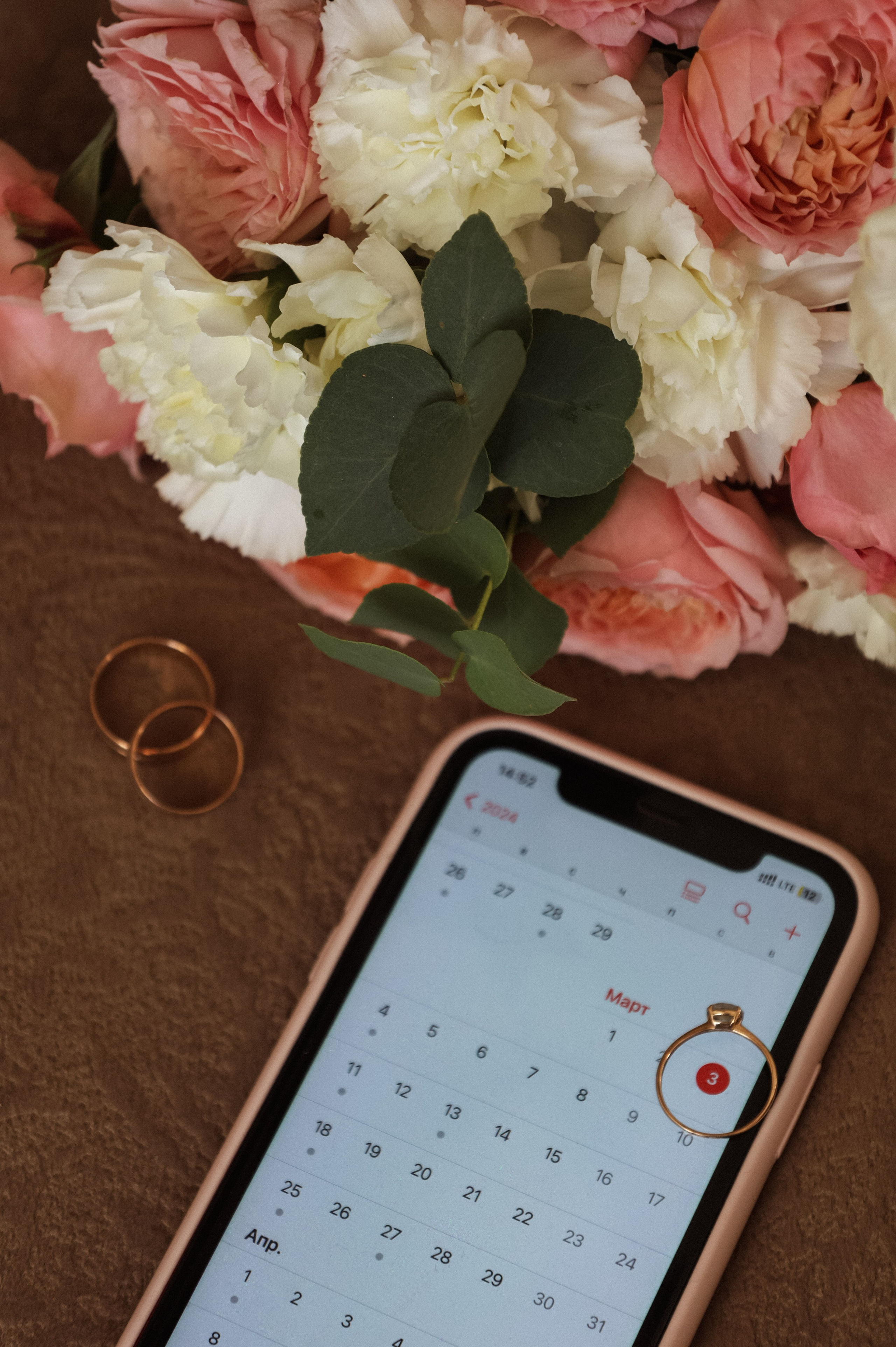 Услуги. Никонорова Анастасия