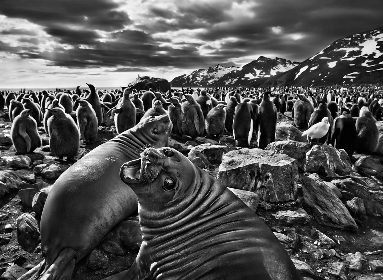 Sebastião Salgado - Себастио Сальгадо