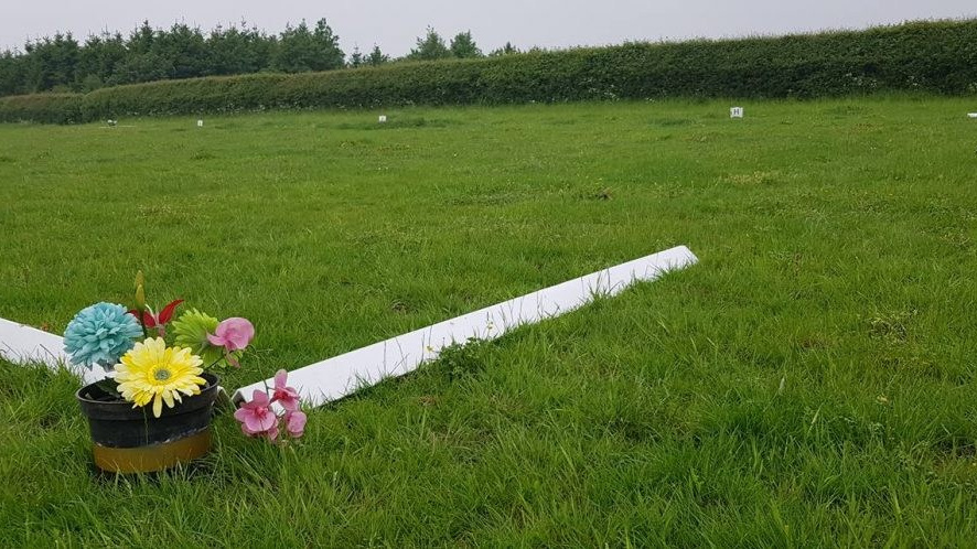 Онлайн старты. Лиана Антонович | Конные стратегии