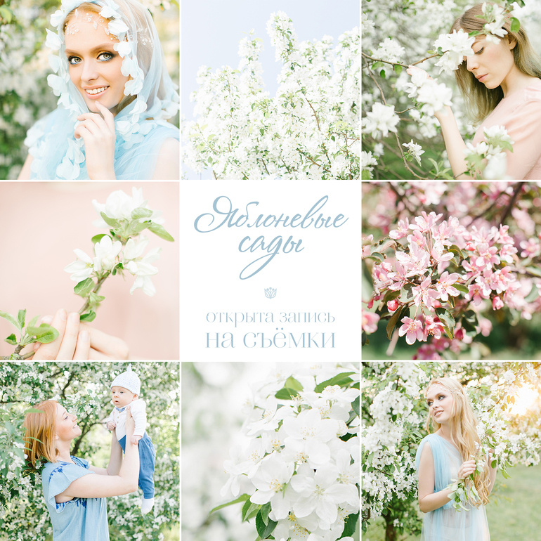 «Цветущие сады»