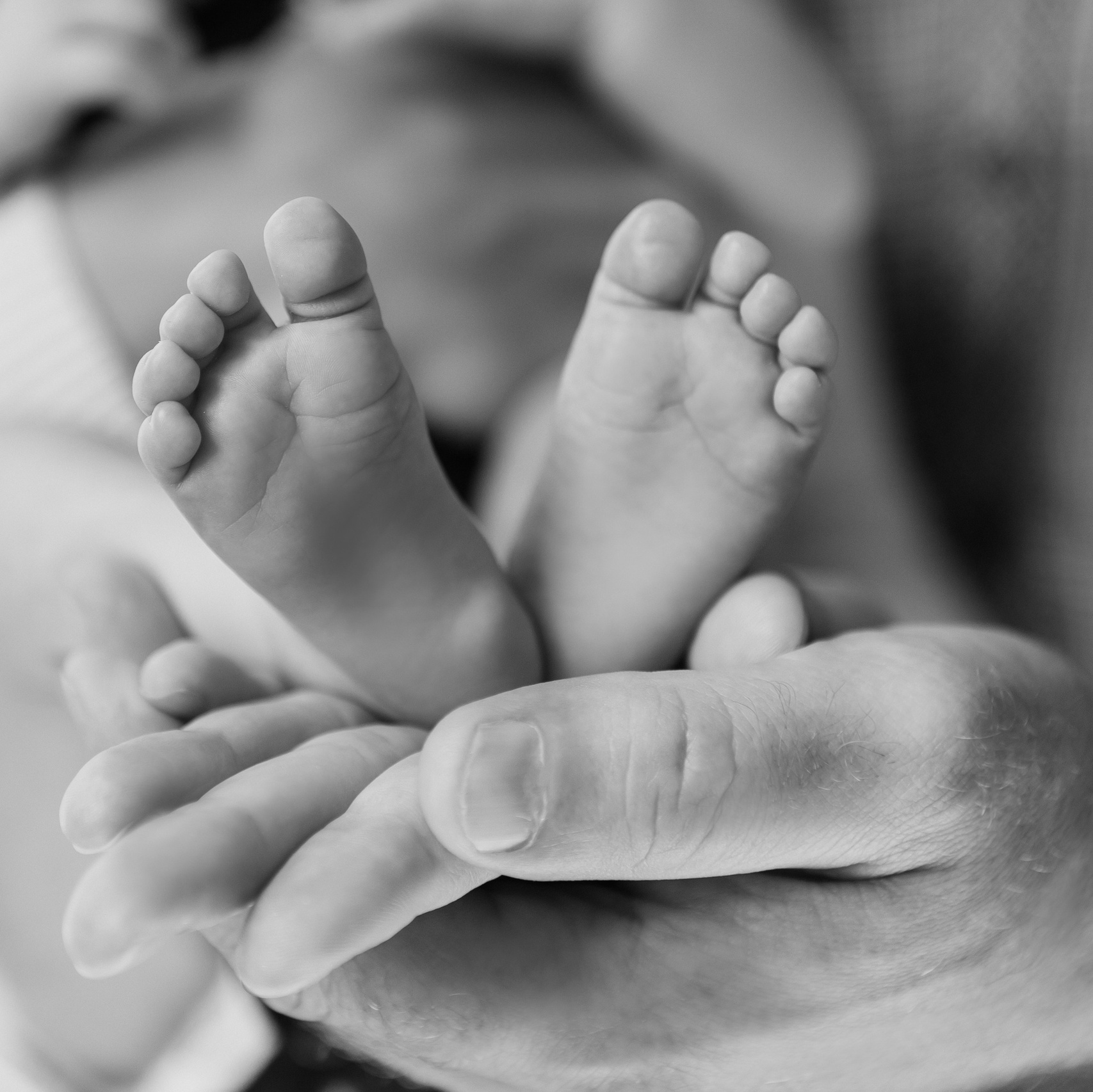 Услуги. Свадебный и семейный фотограф в Новополоцке Виктория Борисёнок