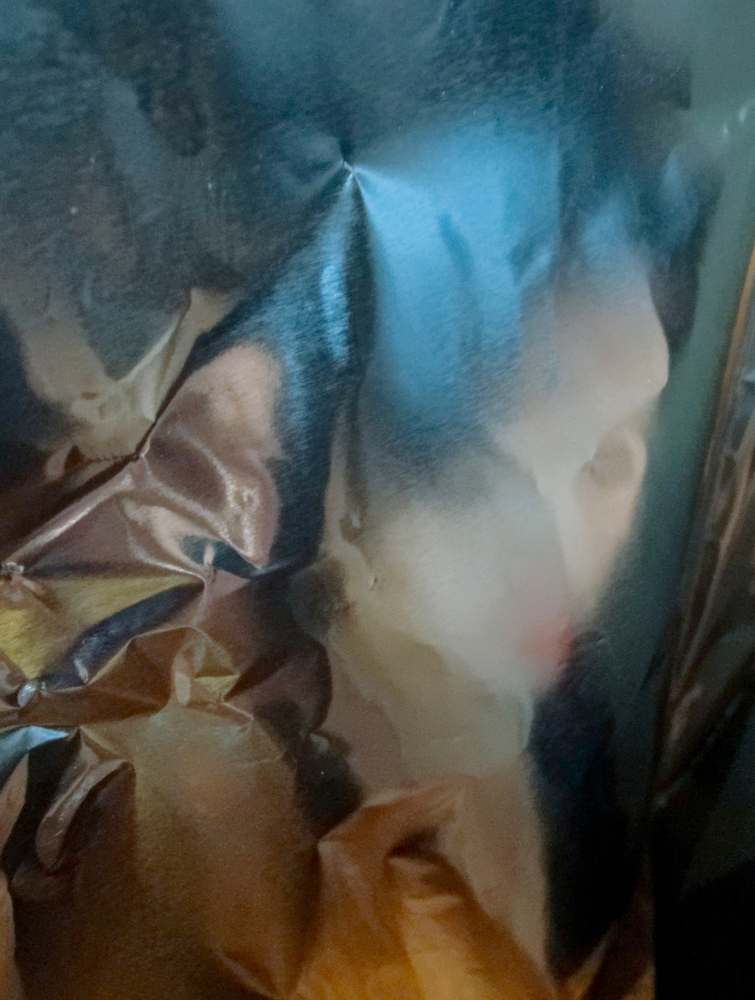 Татьяна Гулакова. ARTEXPOPHOTO