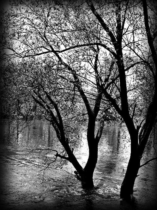 Пейзажи. Granum-memorial