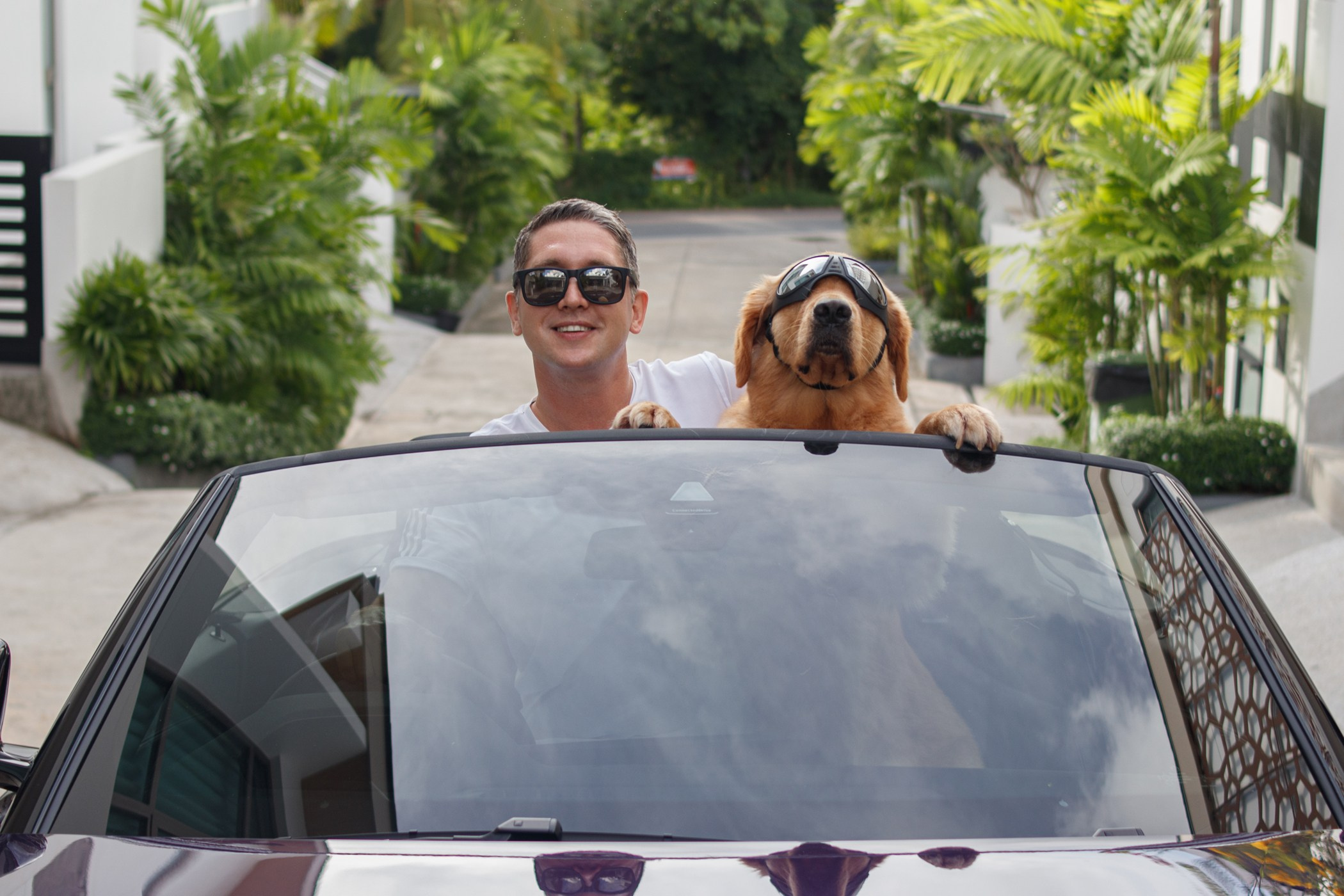 Стильный бизнес портрет