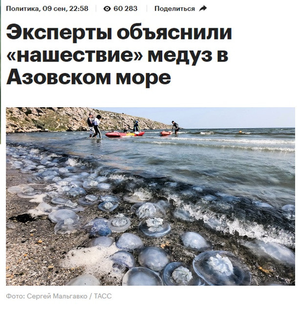 Коллаген из Азовских медуз. Главная