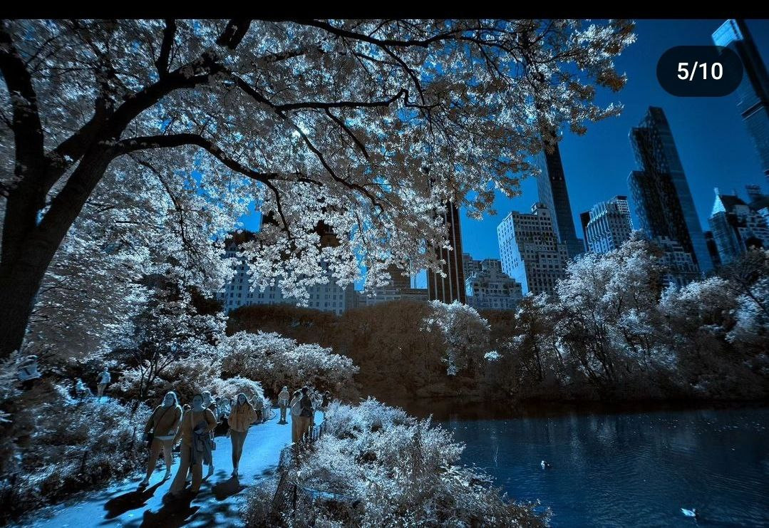 Профессиональный фотограф и любитель. В чём разница?. Фотограф в жанре Ню. Татьяна Хасанович. Красноярск