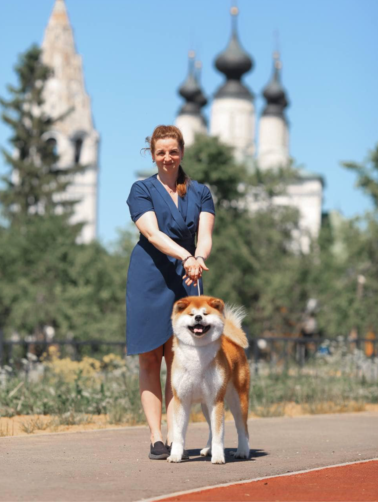 Dog Shows. Kennel Akita inu