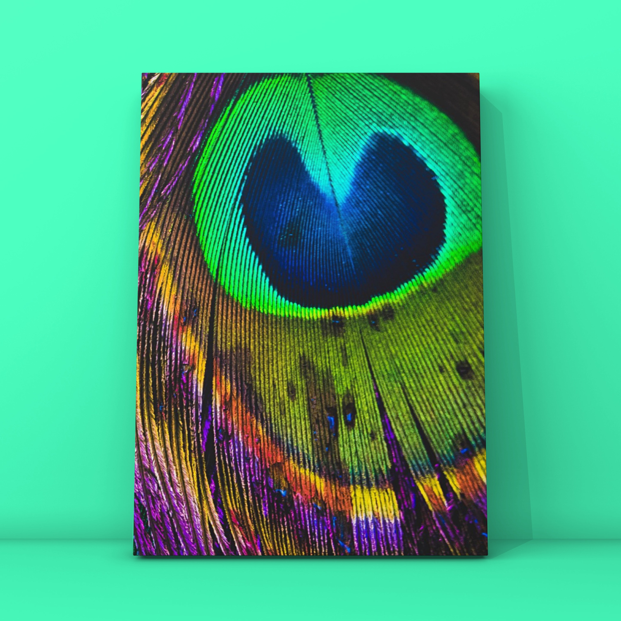 Перо павлина 3. Фотограф в Москве Сергей Коршунов