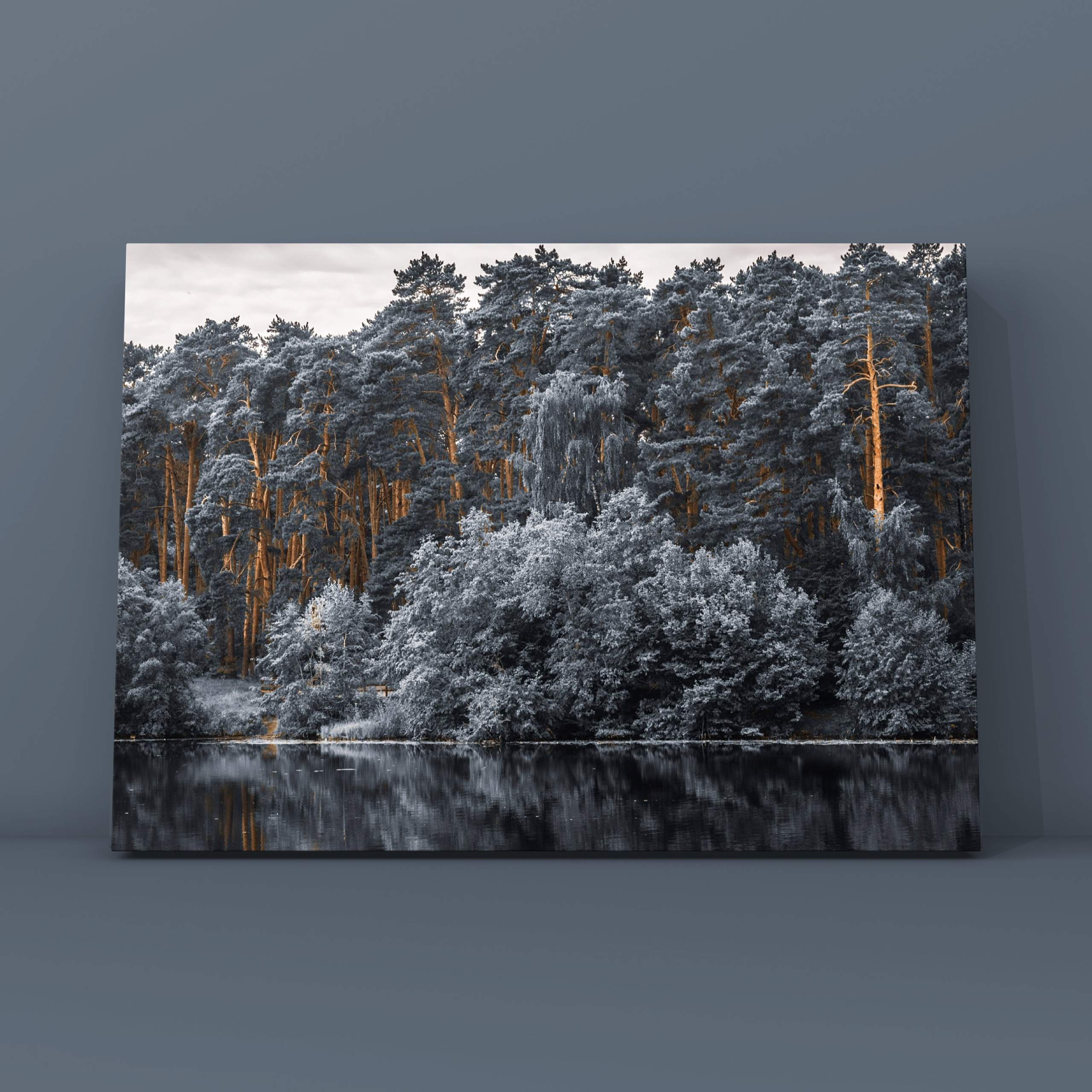 Зима-лето. Фотограф в Москве Сергей Коршунов