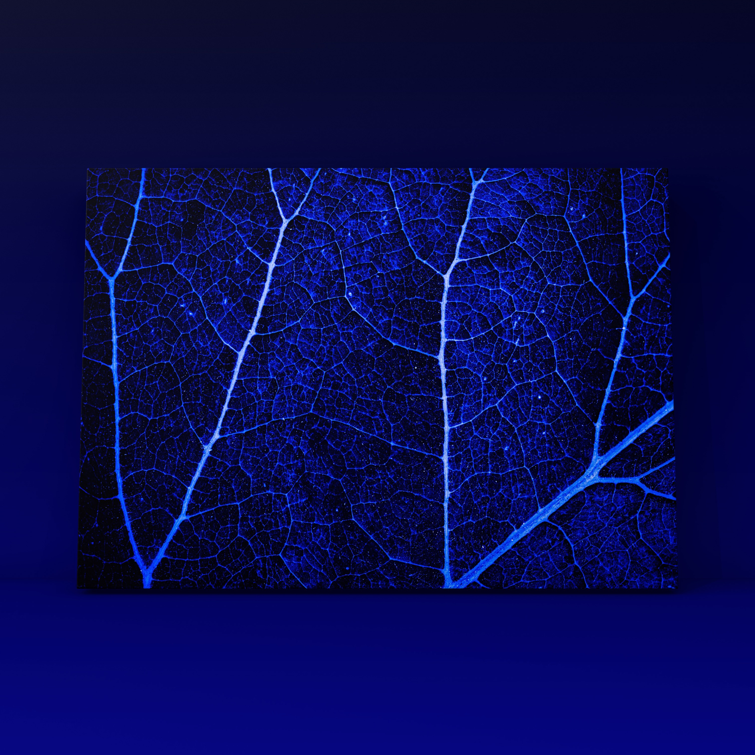 Лист 7. Фотограф в Москве Сергей Коршунов