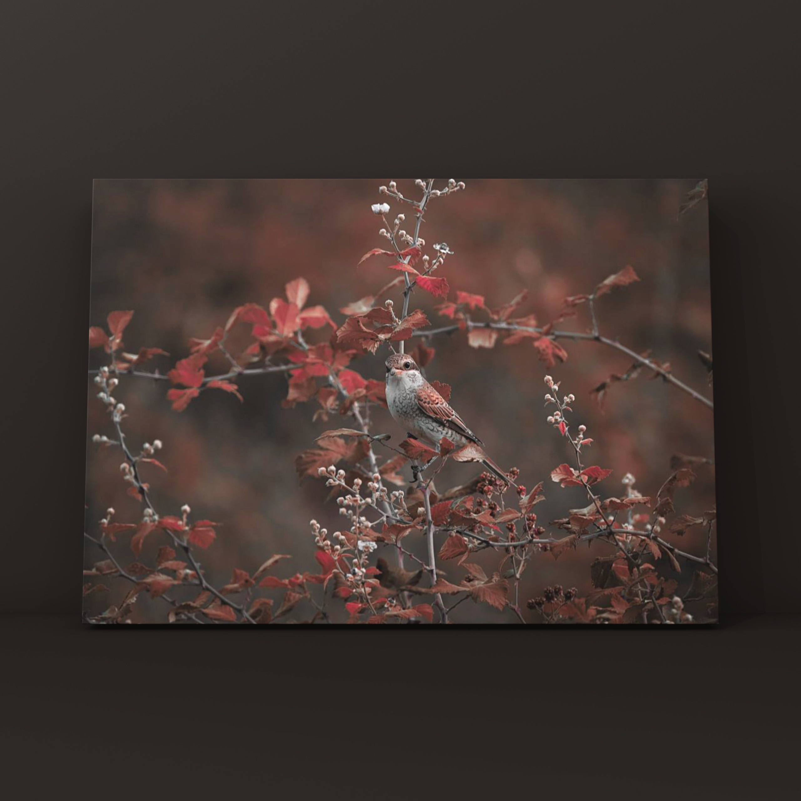 Птичка Абхазия. Фотограф в Москве Сергей Коршунов