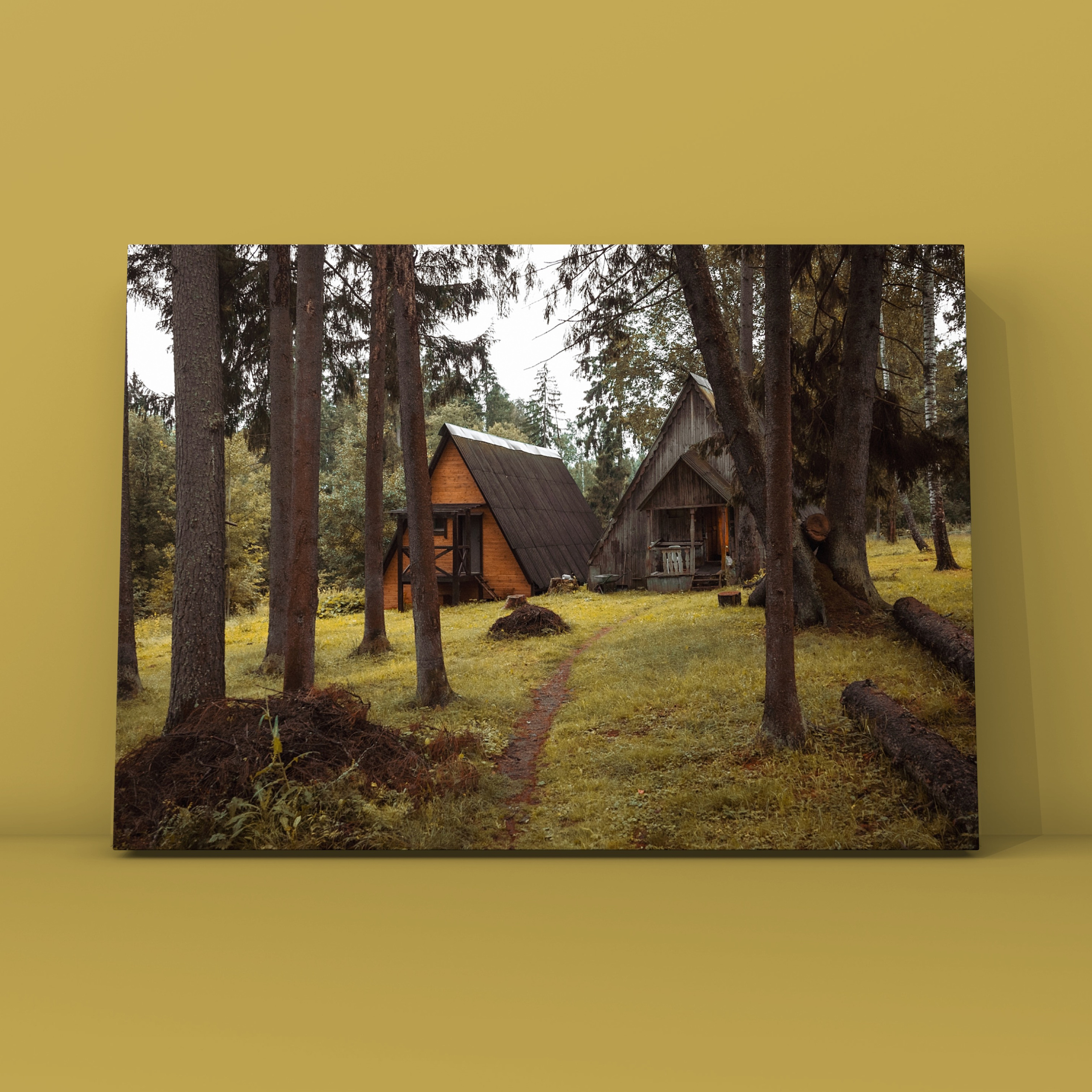 Домики в пансионате Парус. Фотограф в Москве Сергей Коршунов