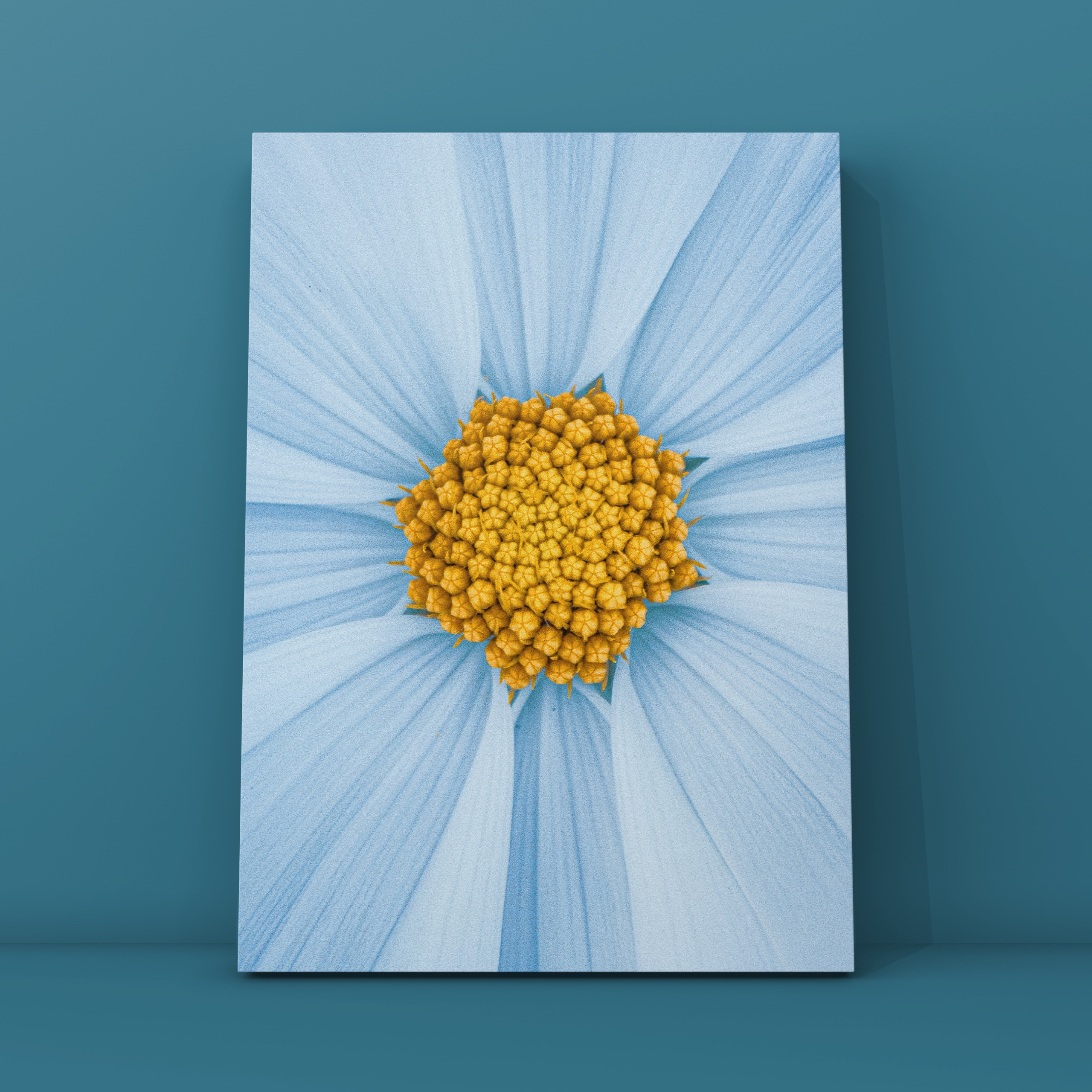 Абстракция. Фотограф в Москве Сергей Коршунов