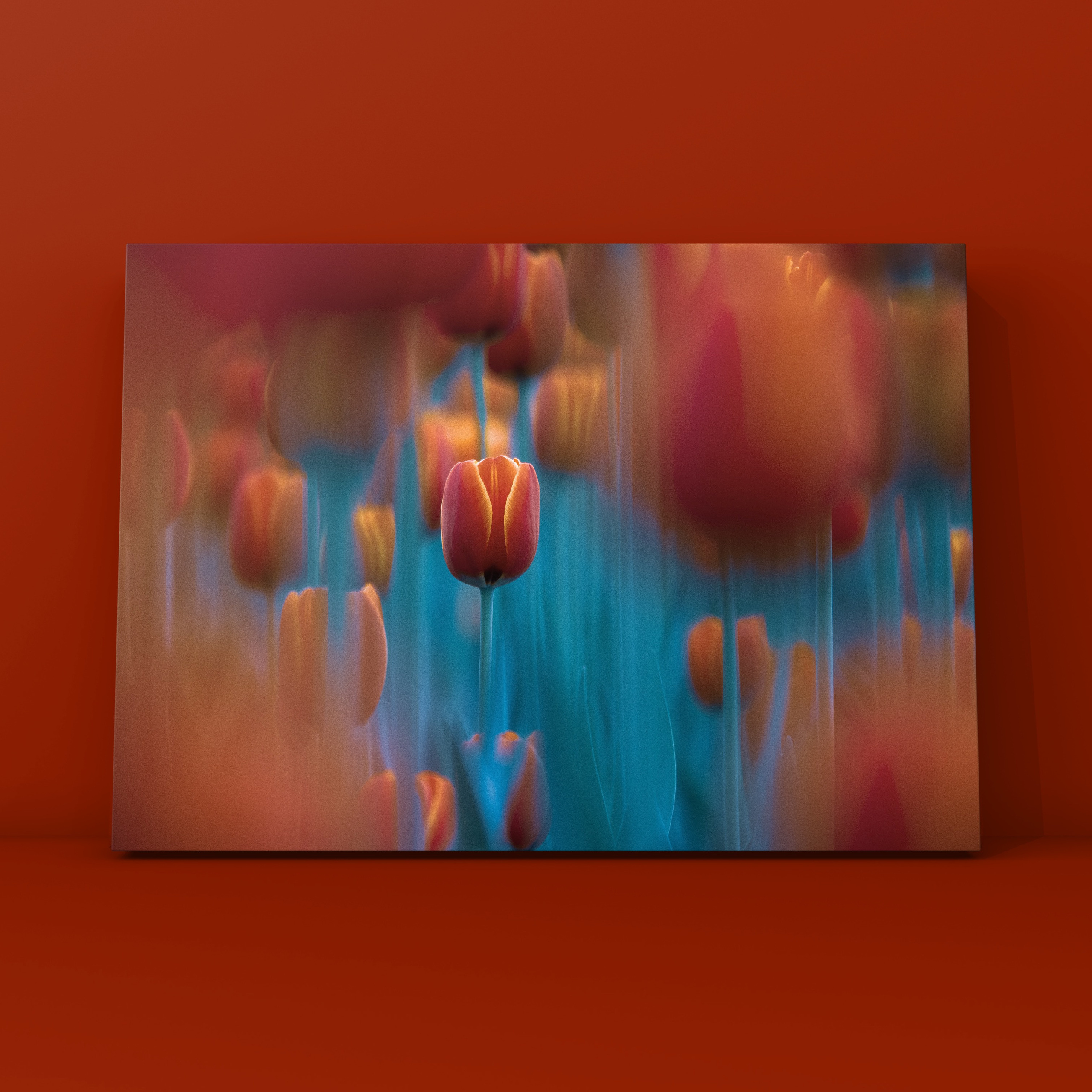 Природа и пейзаж. Фотограф в Москве Сергей Коршунов