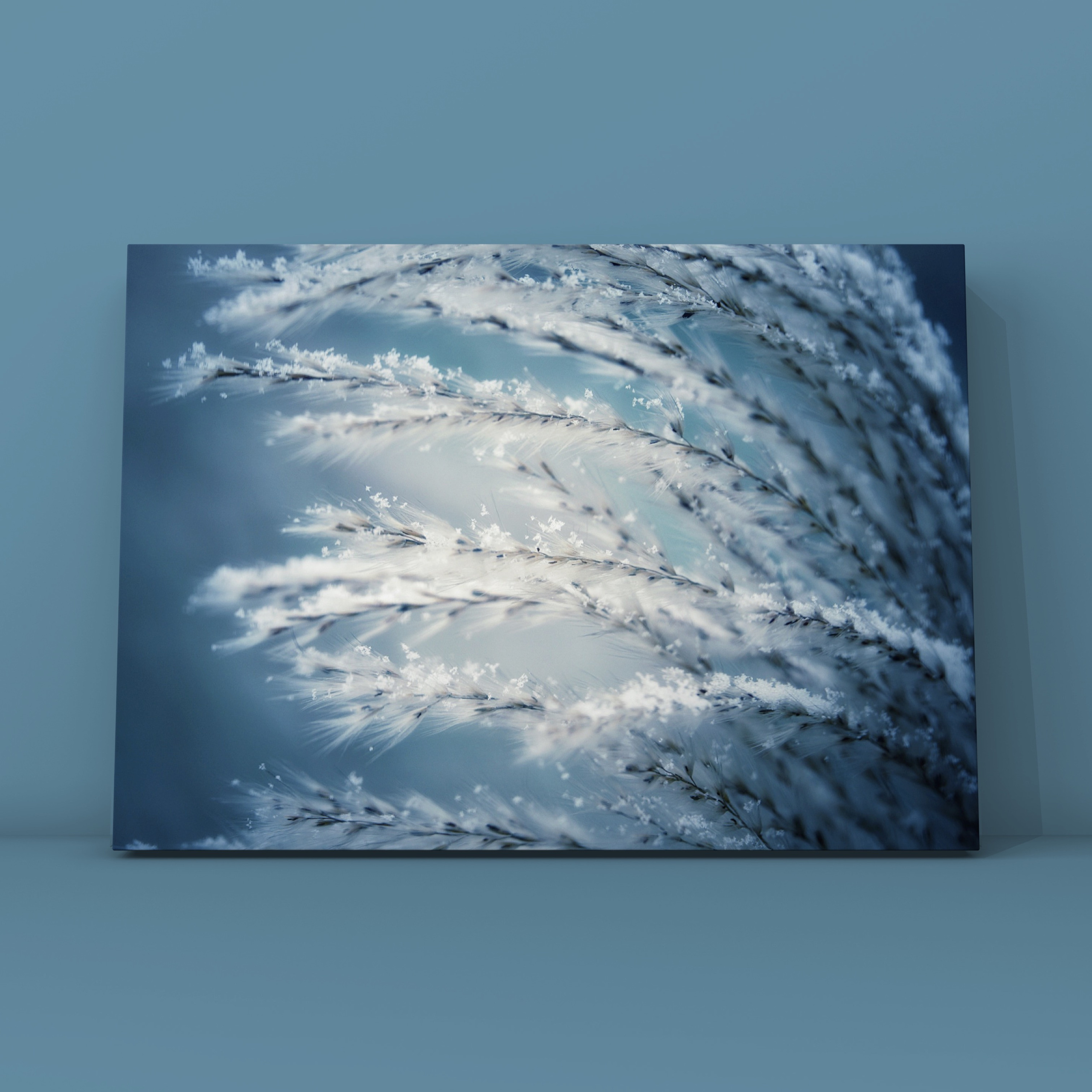 Первый снег. Фотограф в Москве Сергей Коршунов