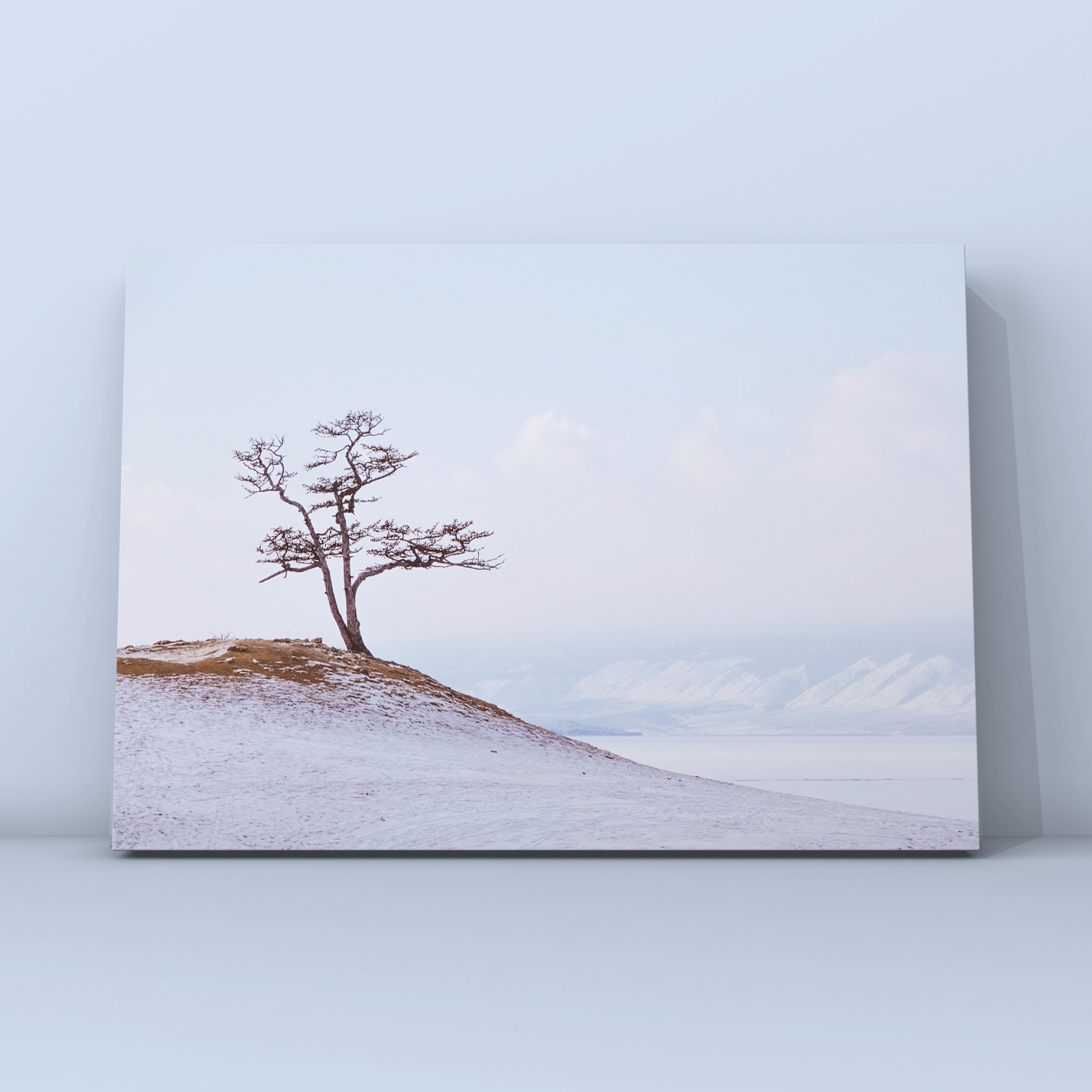 Дерево Ольхон днём. Фотограф в Москве Сергей Коршунов