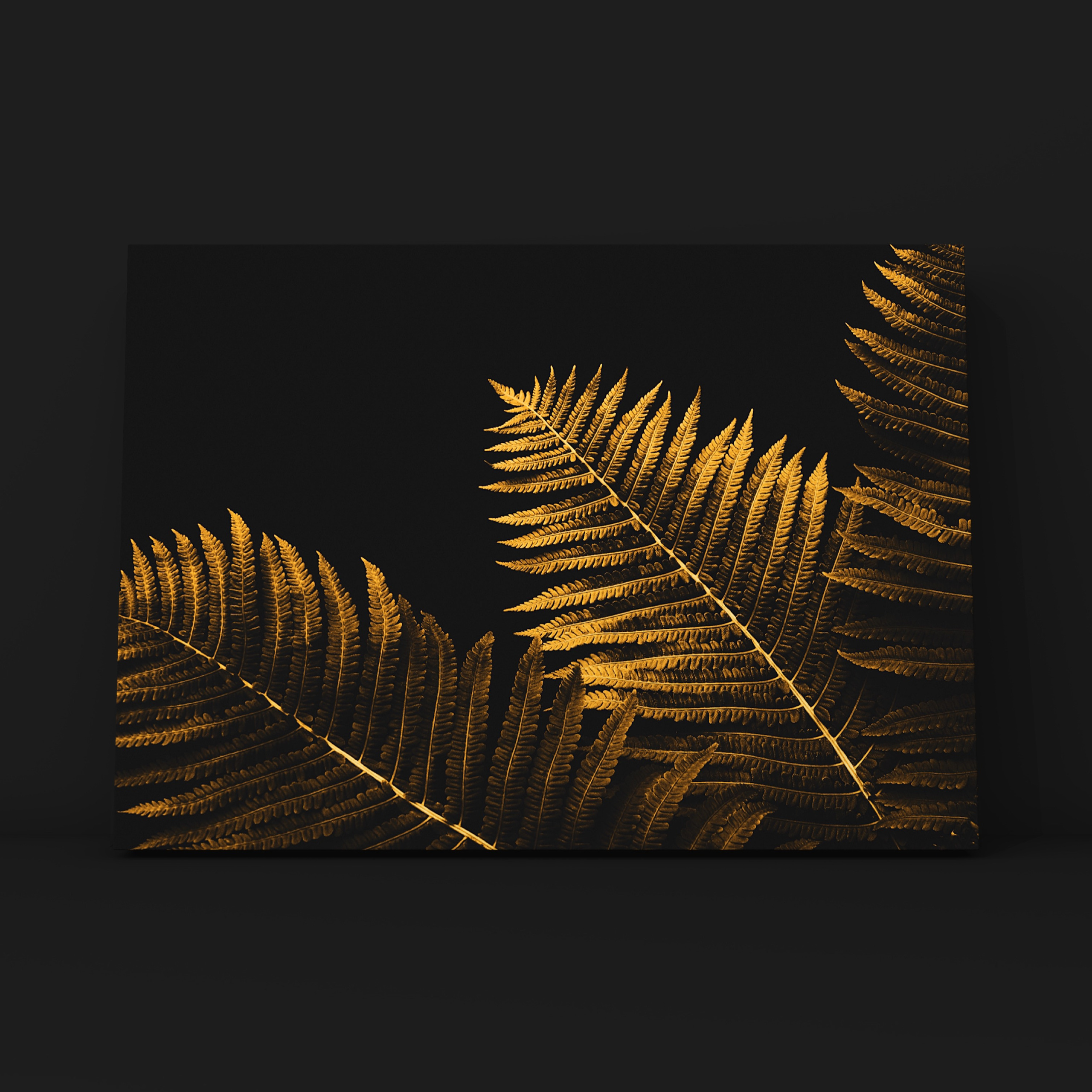 Природа и пейзаж. Фотограф в Москве Сергей Коршунов