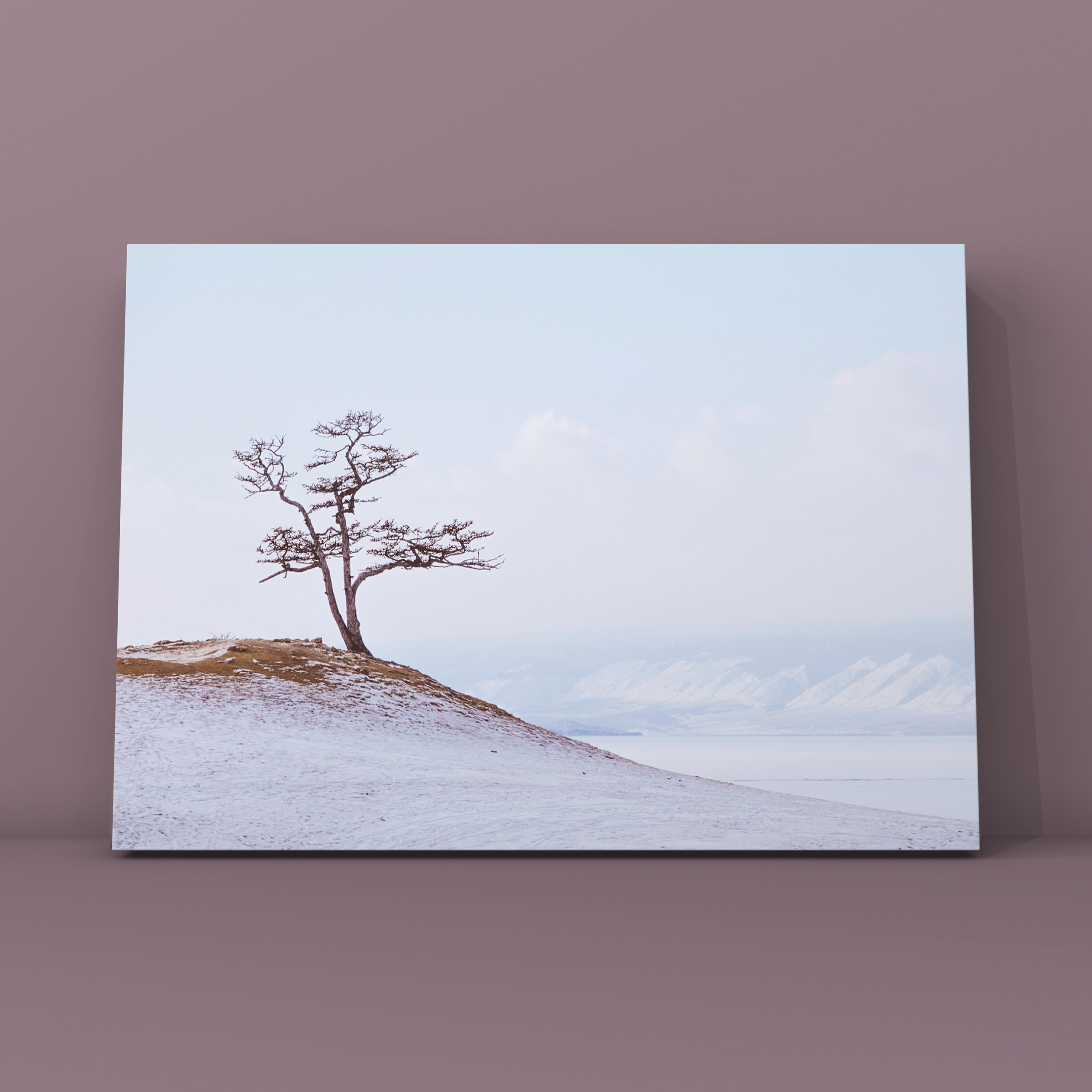 Дерево Ольхон днём 2. Фотограф в Москве Сергей Коршунов