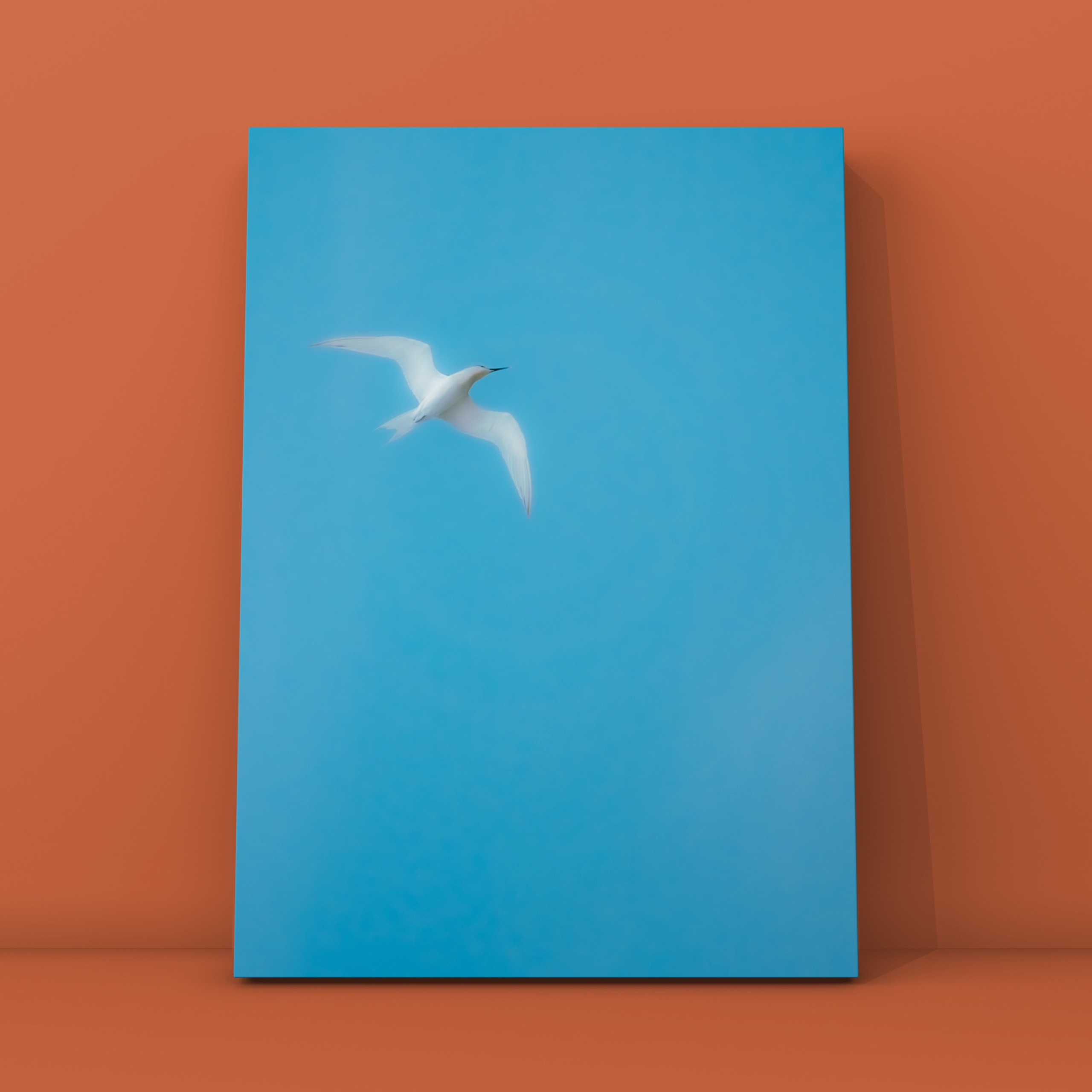 Природа и пейзаж. Фотограф в Москве Сергей Коршунов