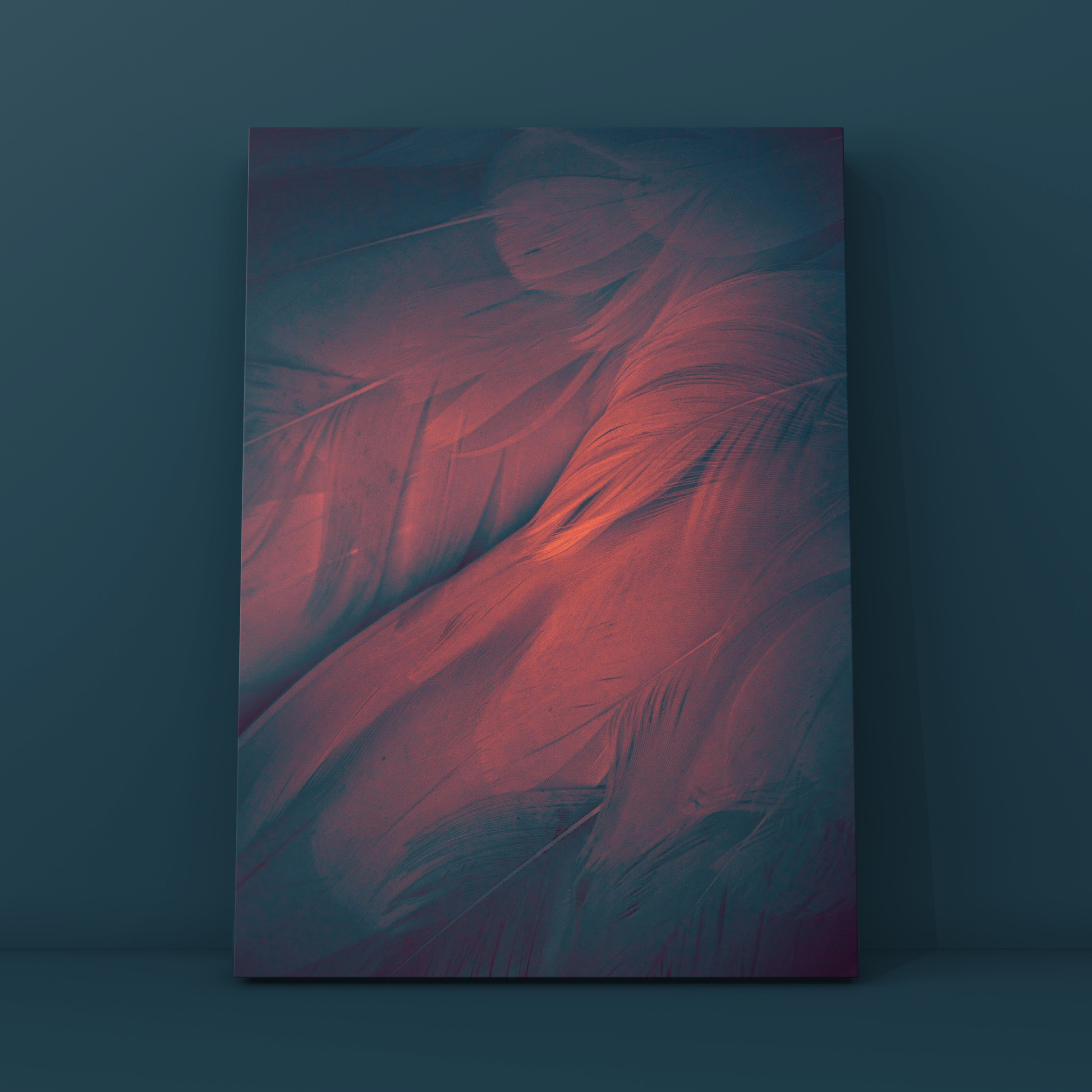 Перья 6. Фотограф в Москве Сергей Коршунов