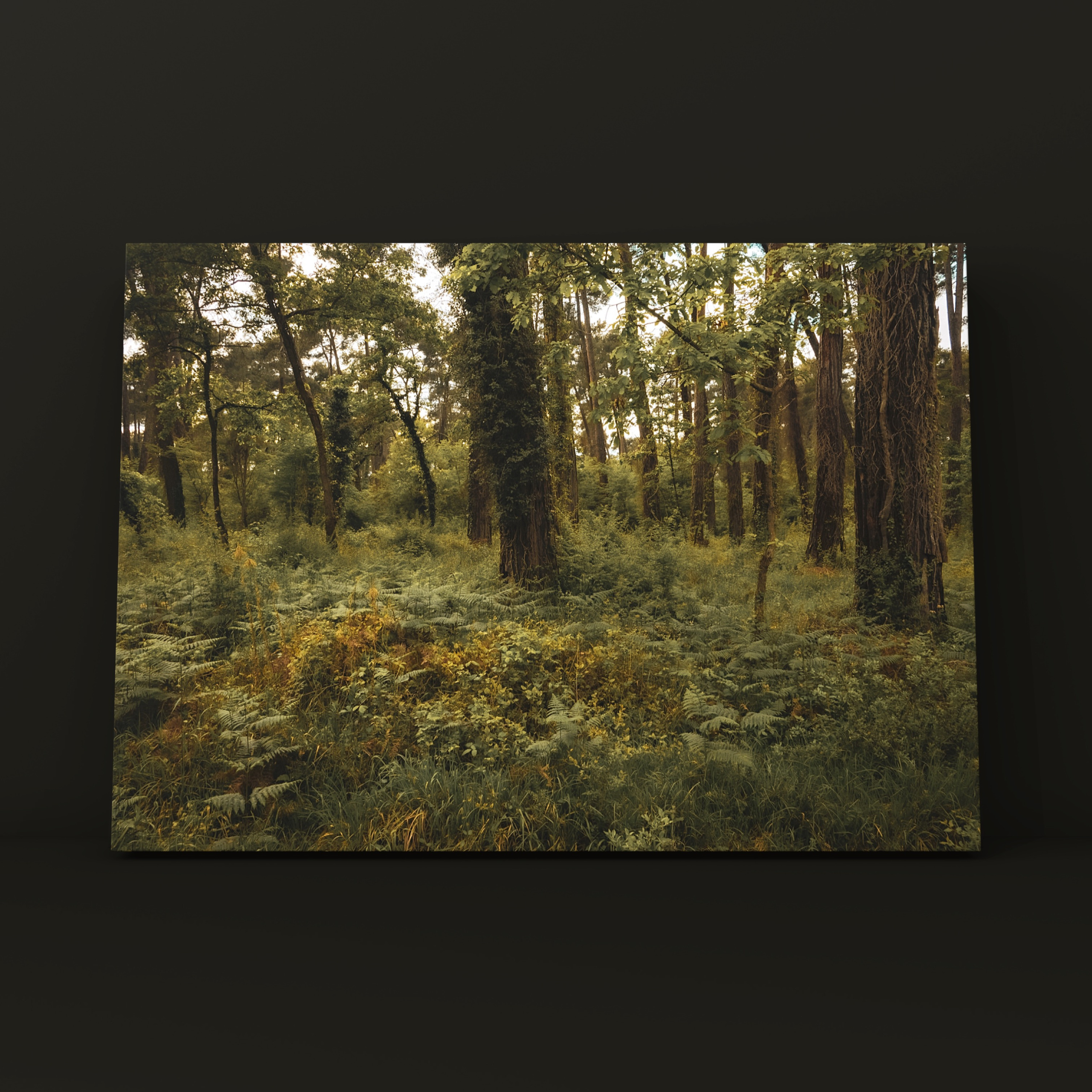 Природа и пейзаж. Фотограф в Москве Сергей Коршунов